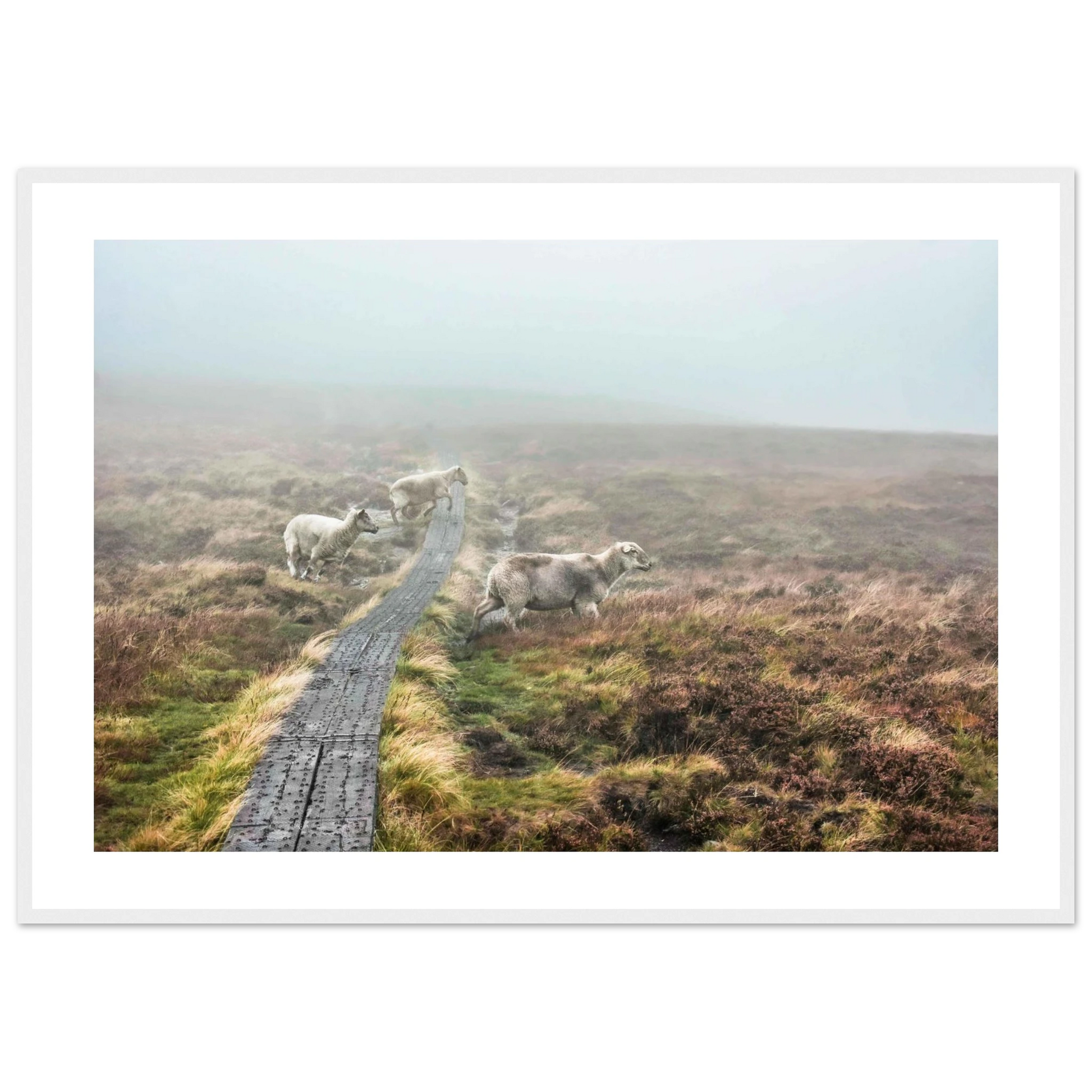 766bd273-ce93-4707-a41f-a82a7ac17607