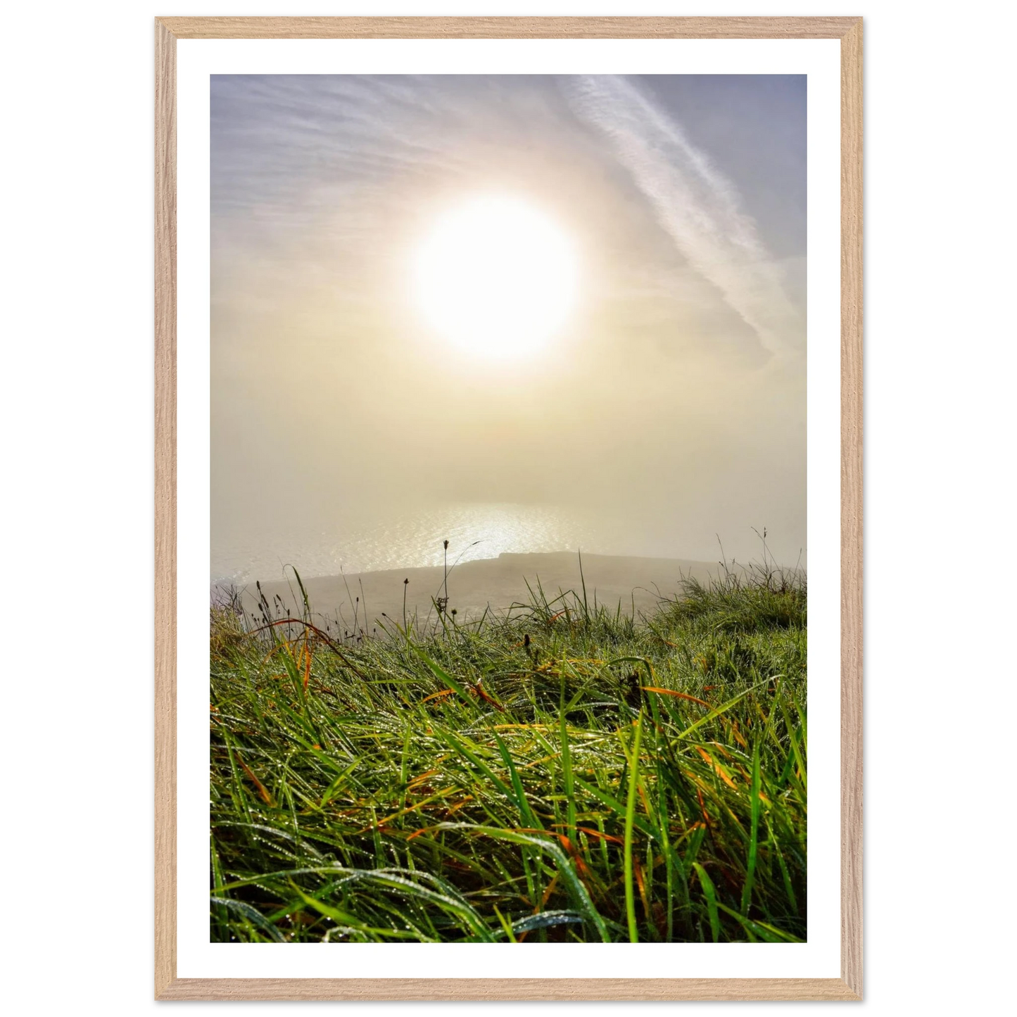 7675ea92-257a-4ff8-8055-865ea34407e7