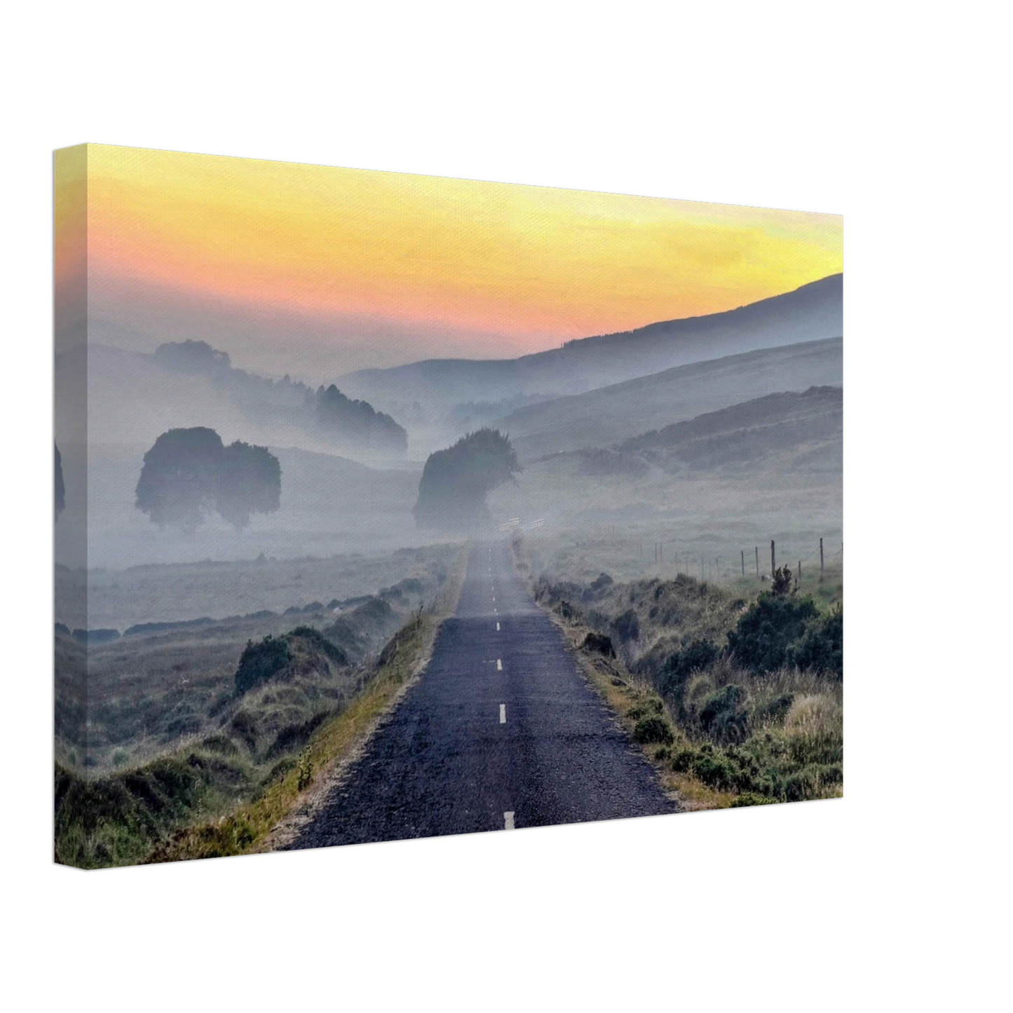 76815df2-fb2f-4c5d-be23-72f2ac2a84d5