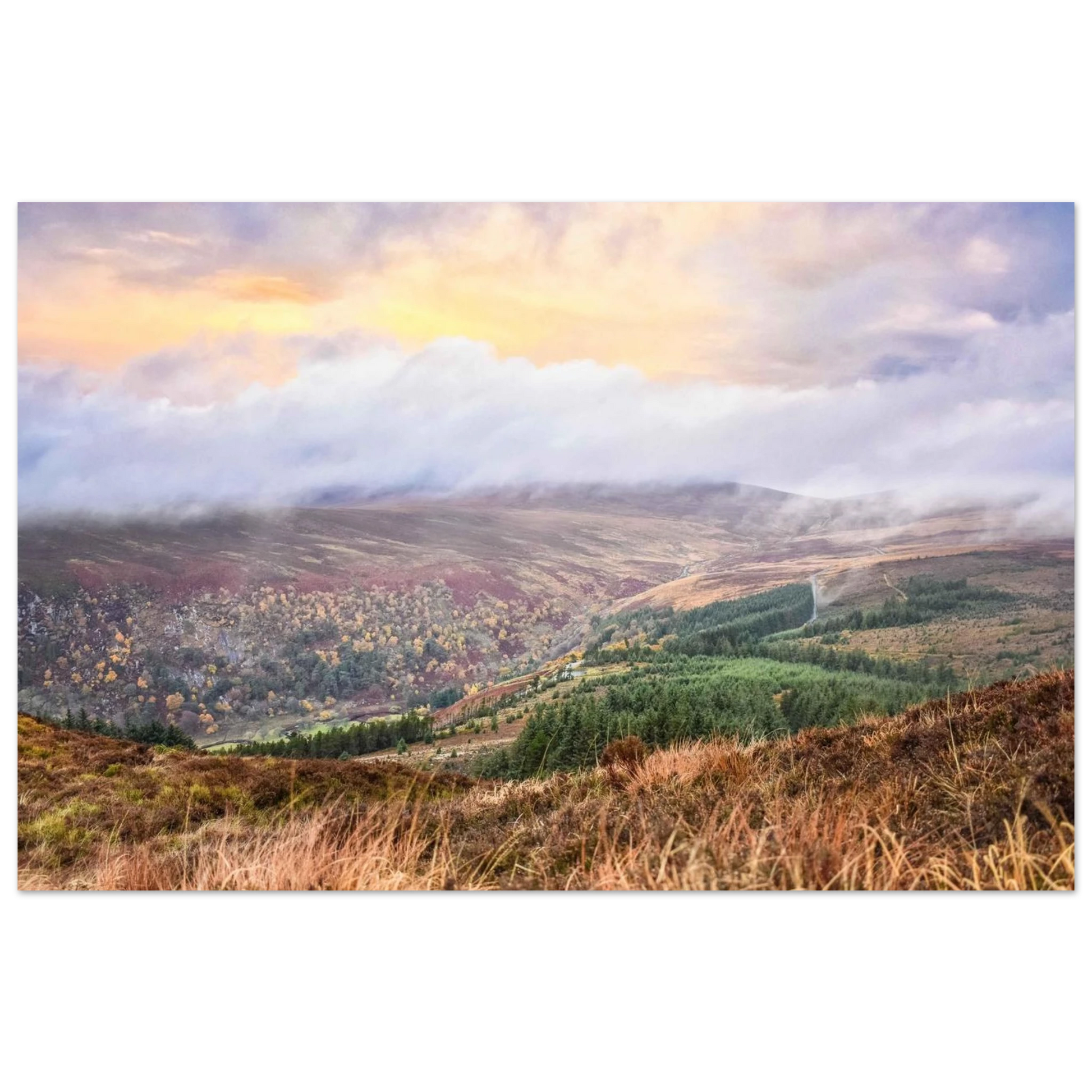 76c33f56-5657-4b72-b5cf-4e51644157ed