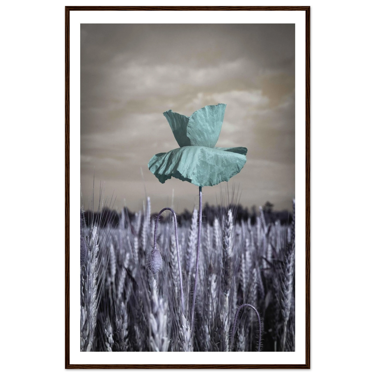 771a5e70-7018-4318-b733-53a7cc64a03c