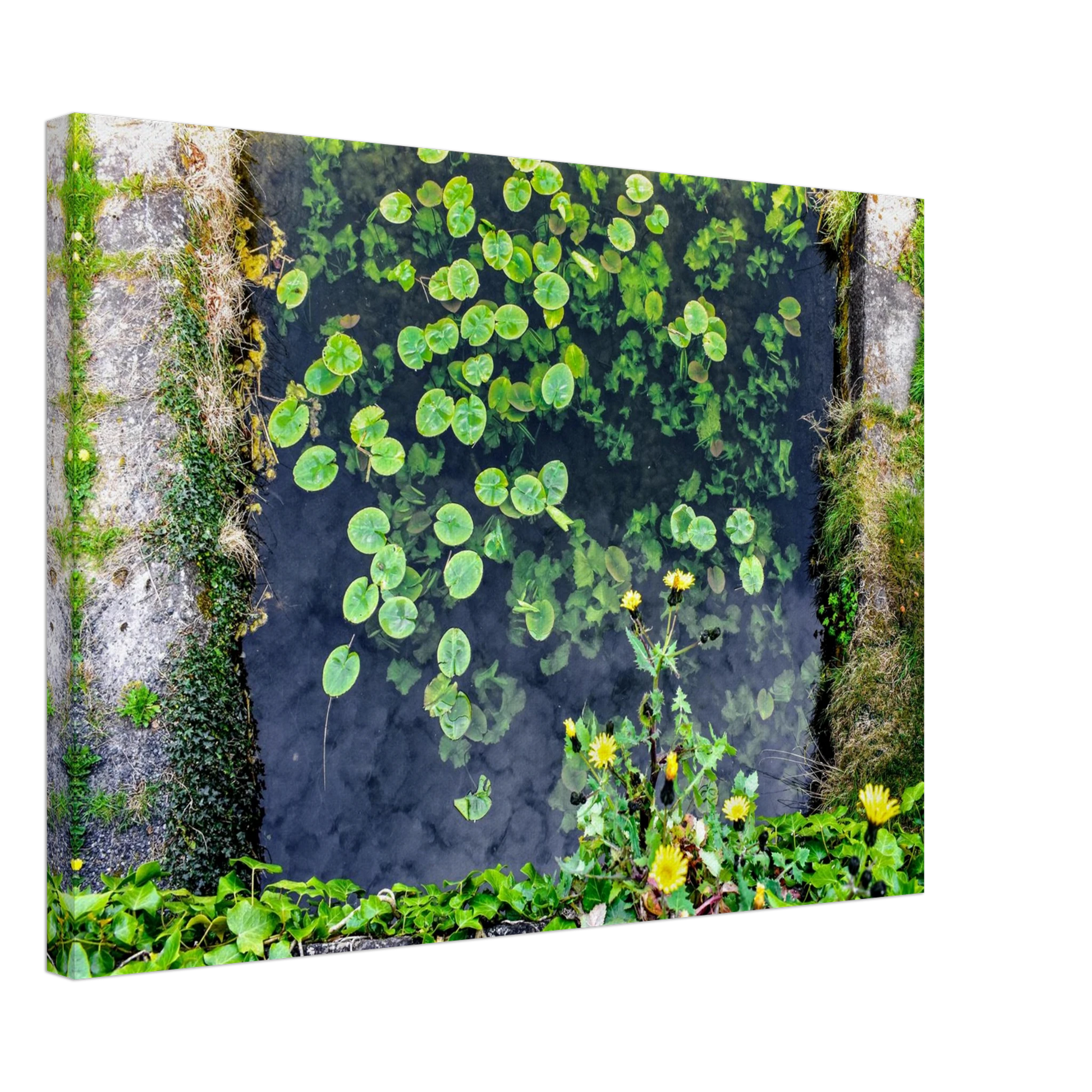 771cce36-43b4-4b80-9a74-f2c5087be81c