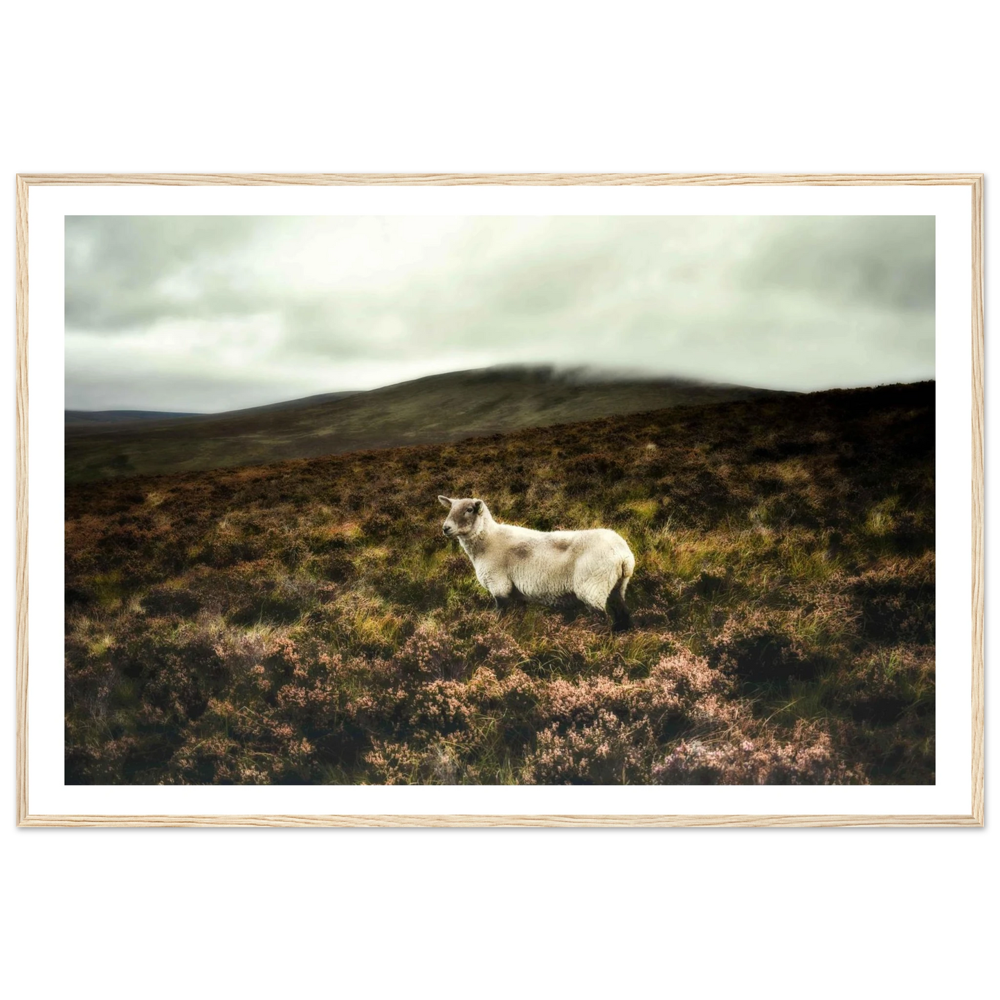 77346b28-18ae-4bde-9a56-965543af37a9