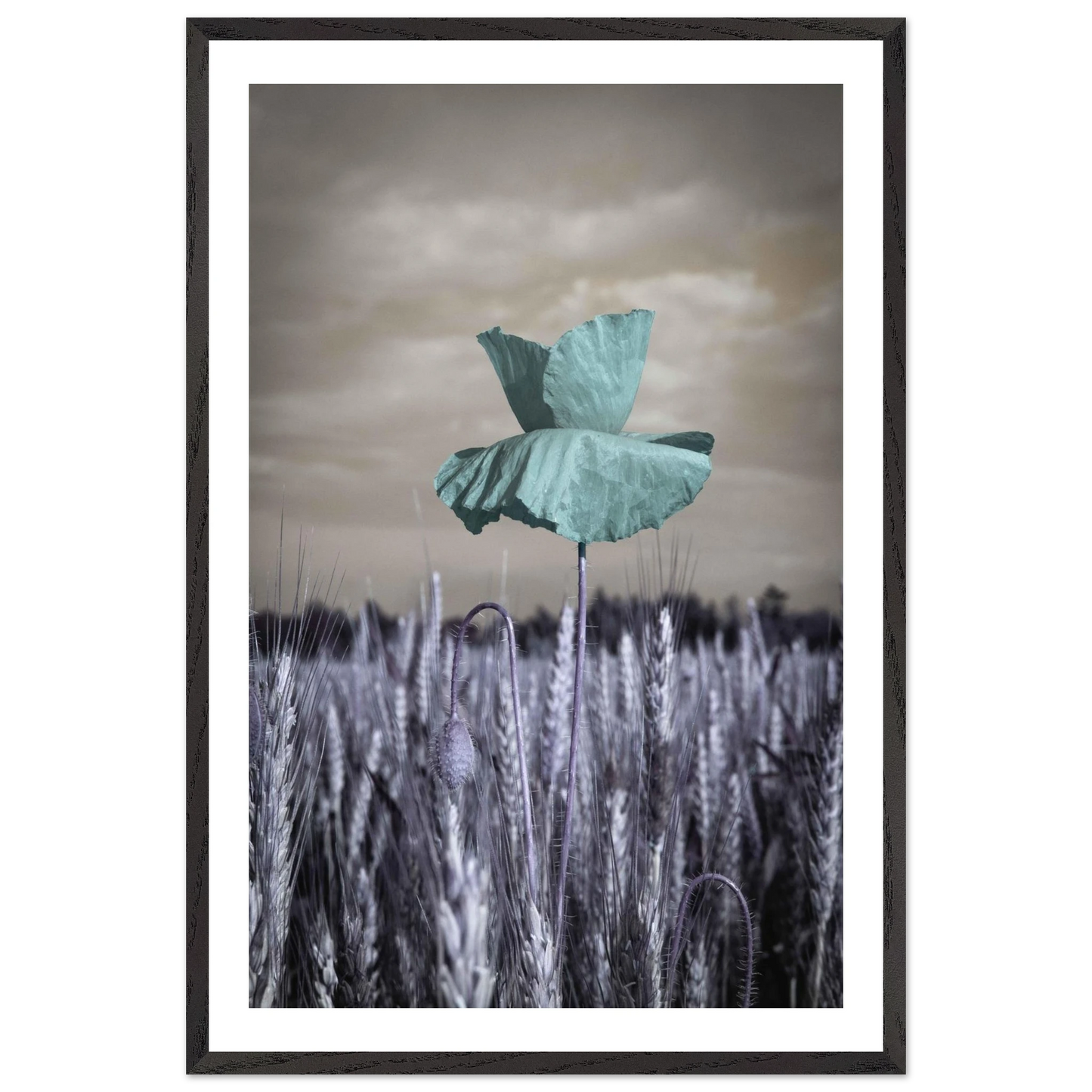 7753bd35-1bfc-4684-a8f6-27fe208c028d