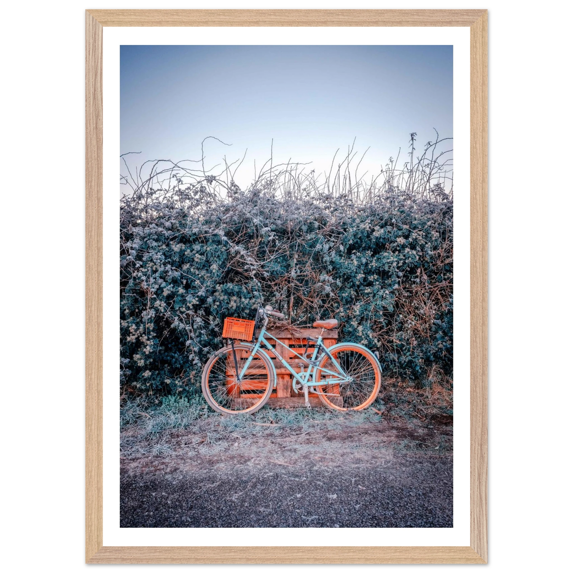 775a9916-2e8a-43b7-bbfd-40444a6dc253