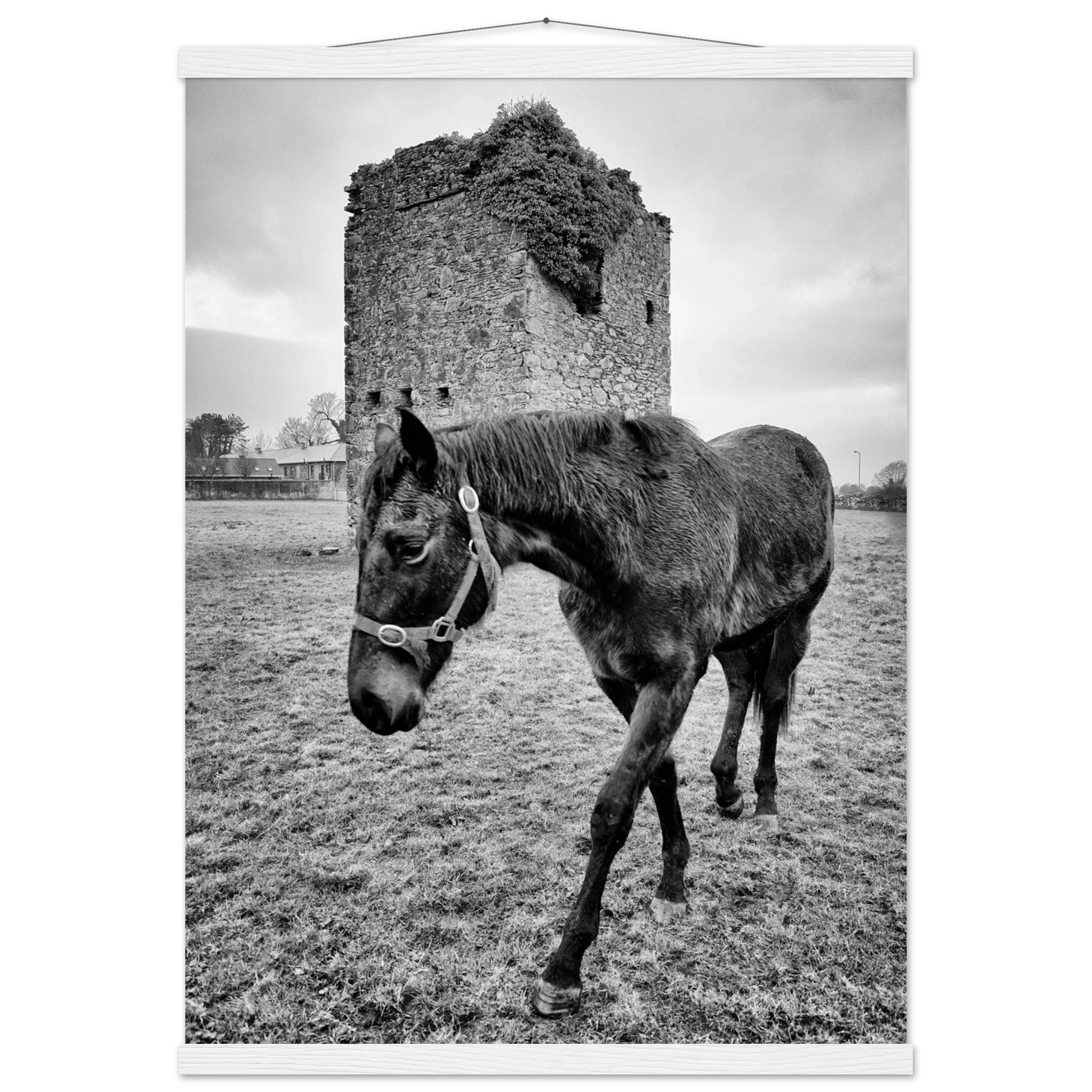 77bf7d3b-93f0-4864-96a8-7f45921decea