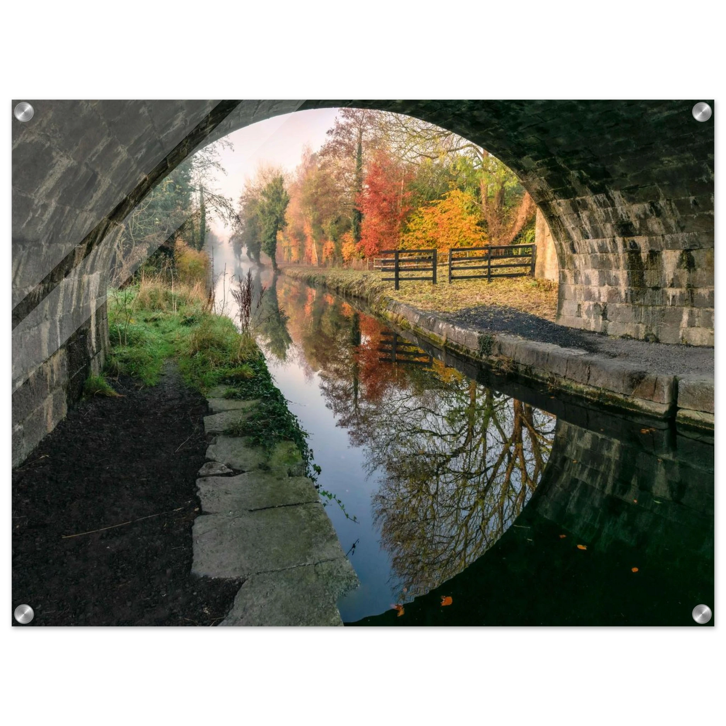 77d3f607-189d-4881-b10b-3b60c4005c8c