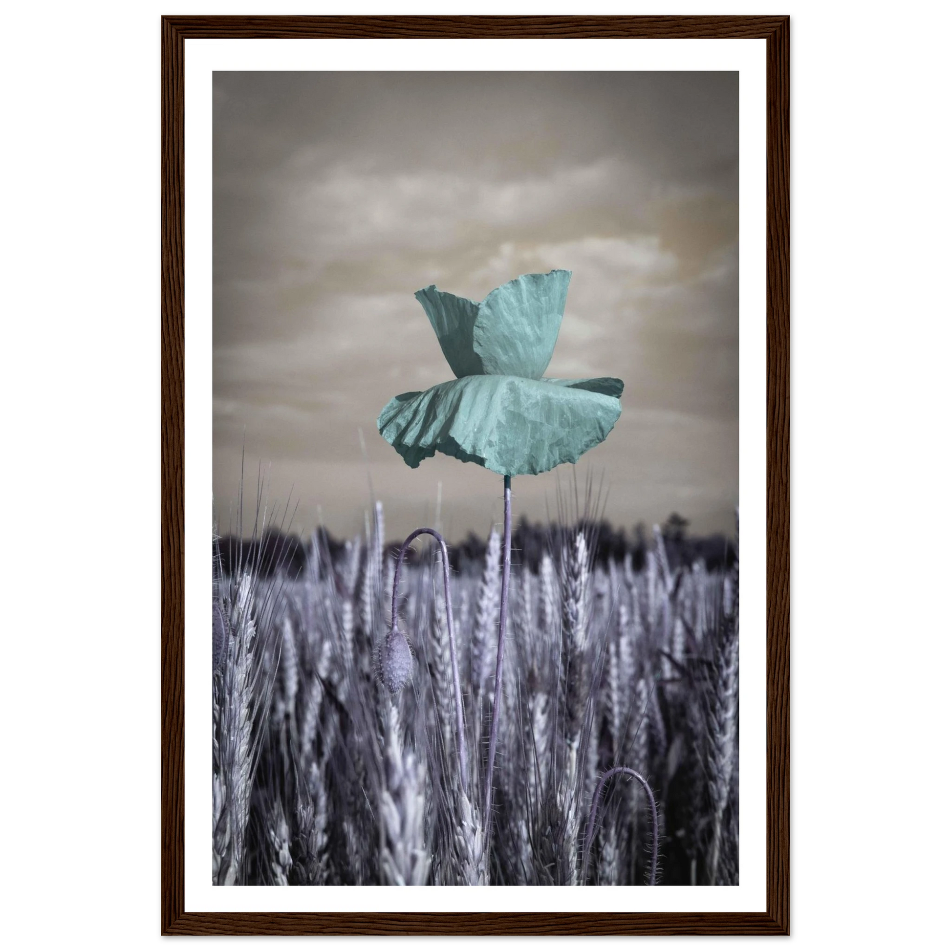 780ea421-353f-4eb7-98fd-d7576c2cdfc7