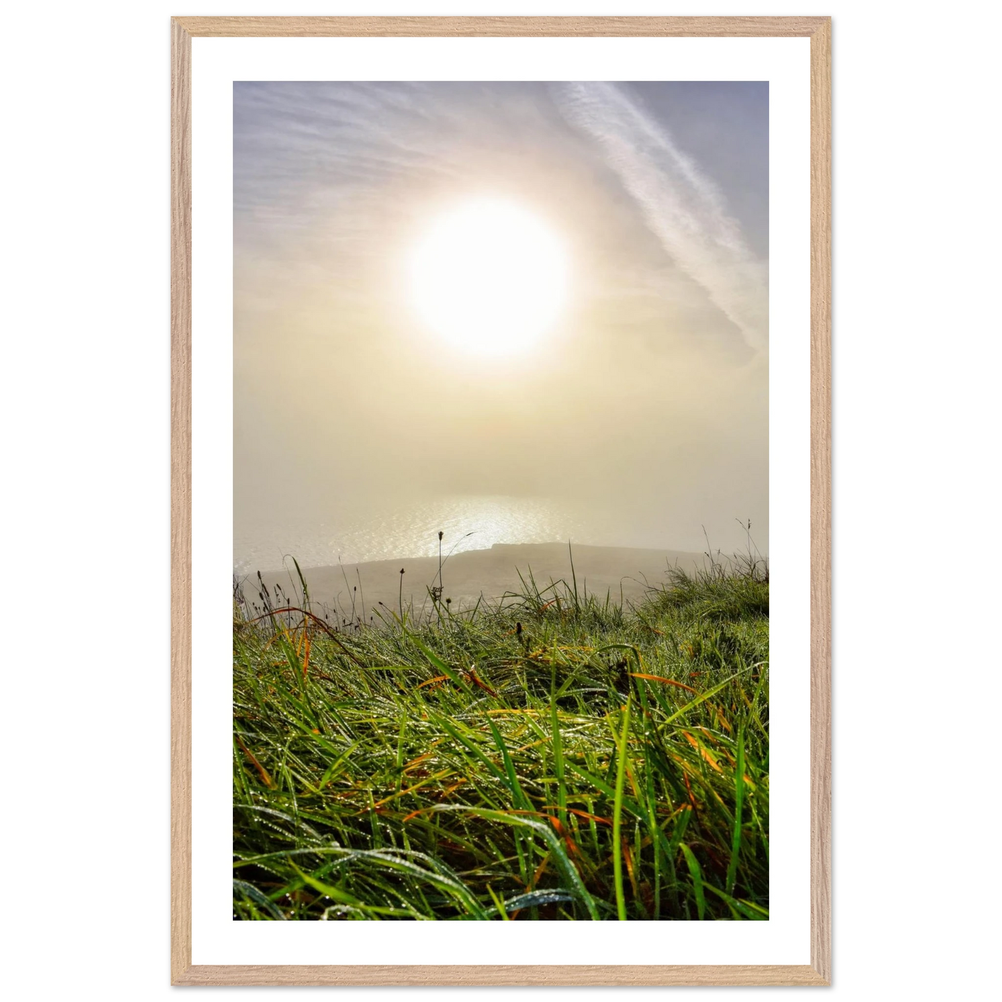 78b333a1-09f7-487d-8d57-b1165f6a4401