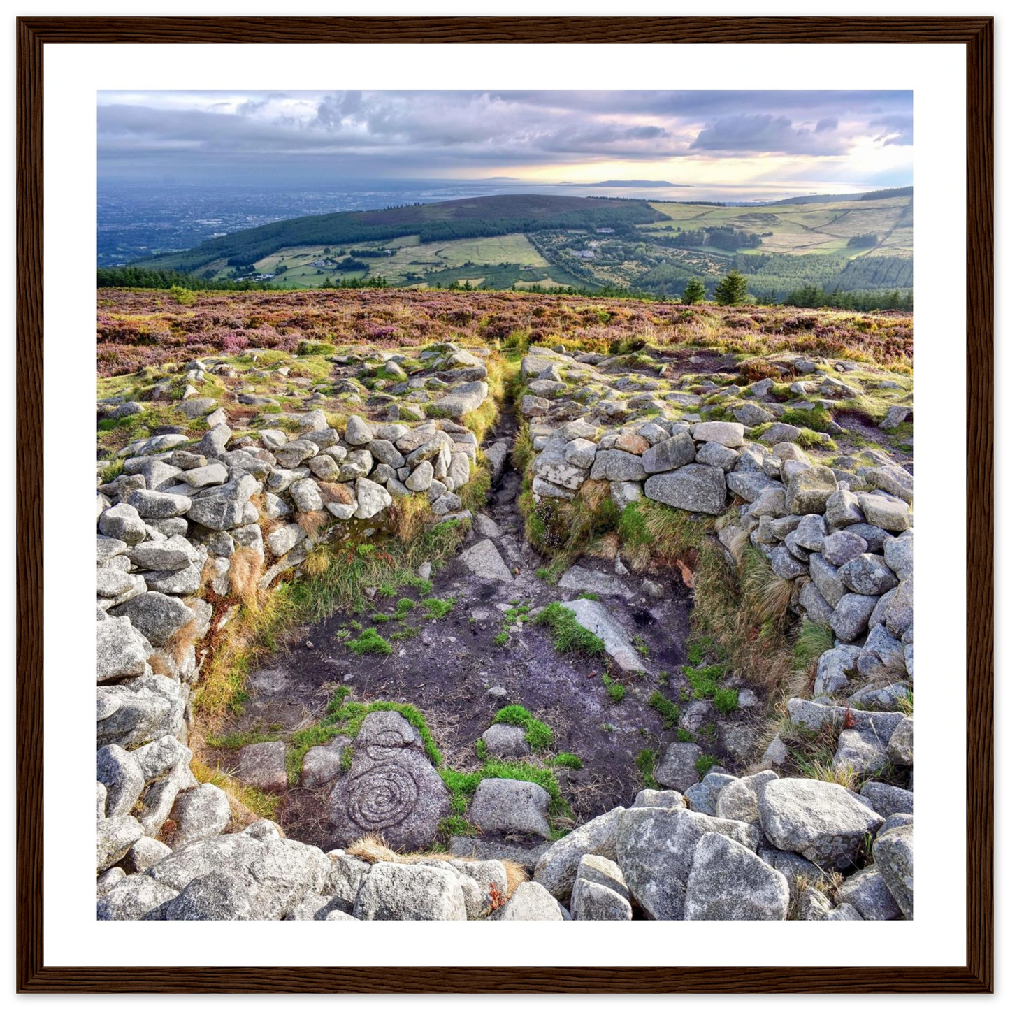 78b8b3ab-fbc8-405e-ab1a-37b3689ab3c1