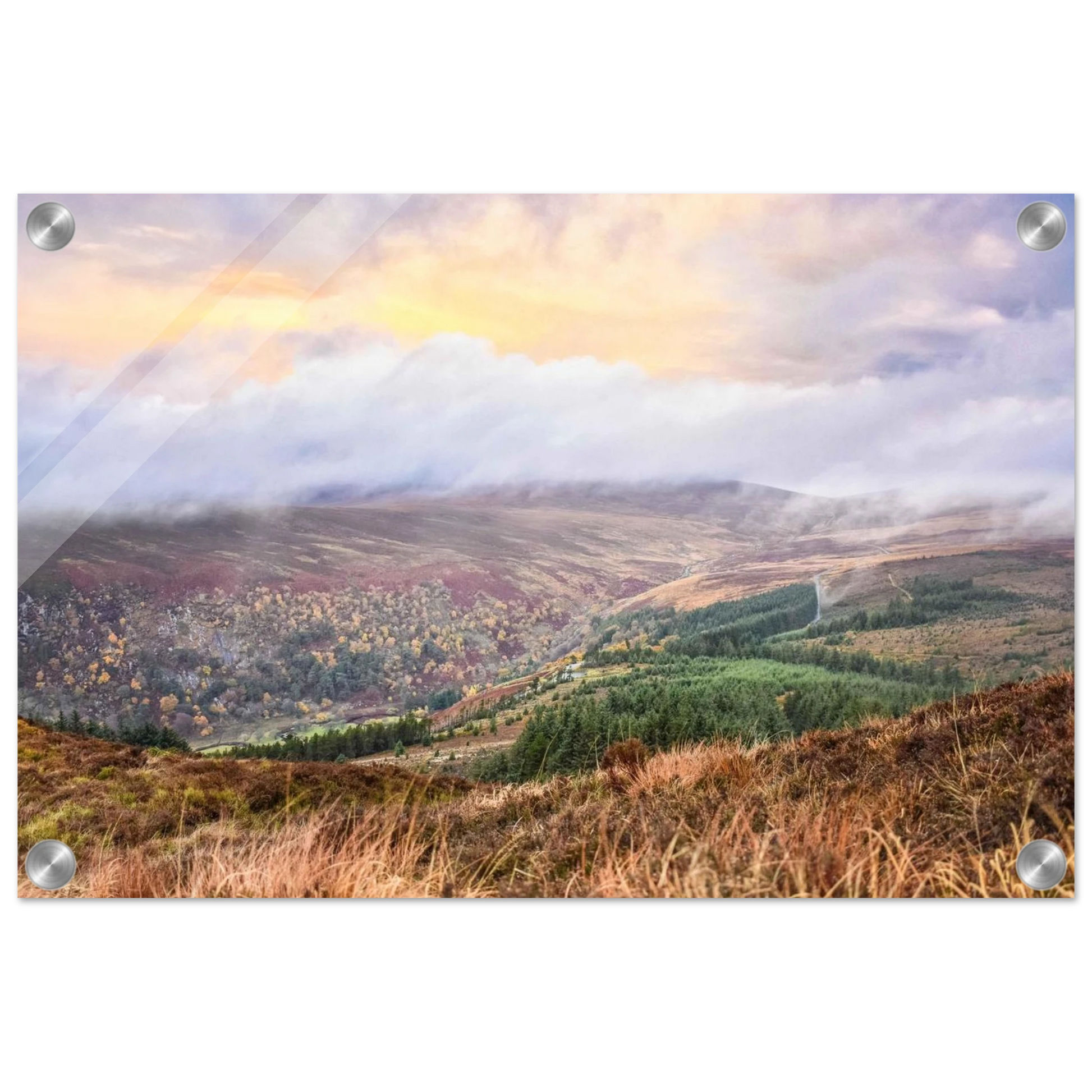 78c0b695-c46a-443e-aa8d-bfc1fe3c25a0