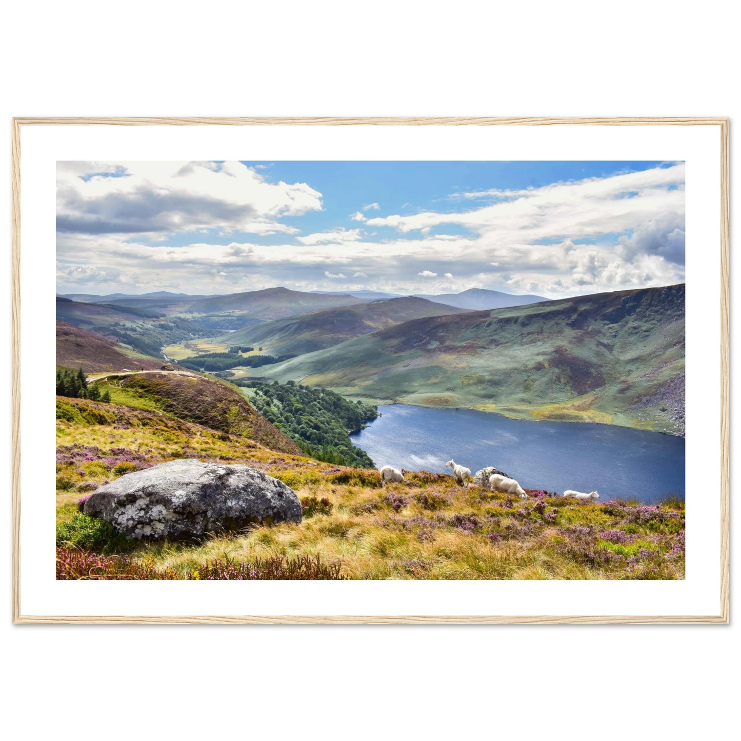 790e751f-2419-45a7-a8f1-c4ce6ea702b2