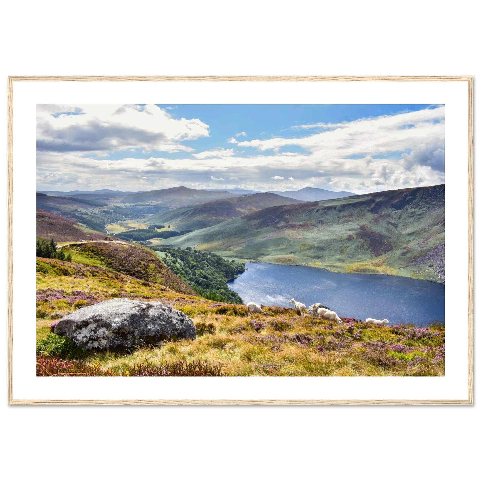 790e751f-2419-45a7-a8f1-c4ce6ea702b2