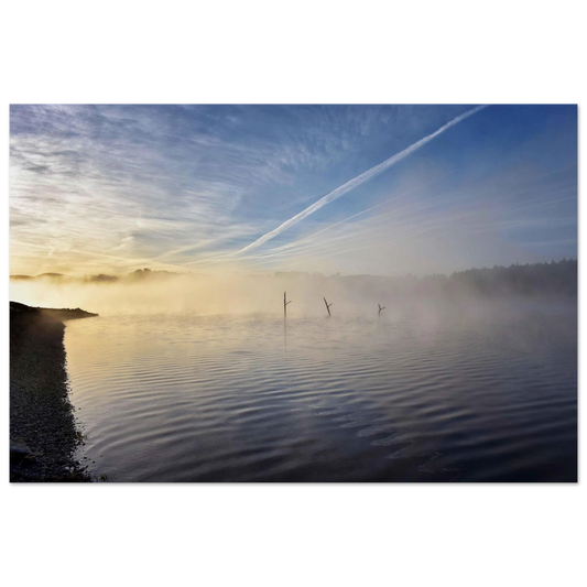 790e8d40-11a3-4120-be76-be7bad8a57a9