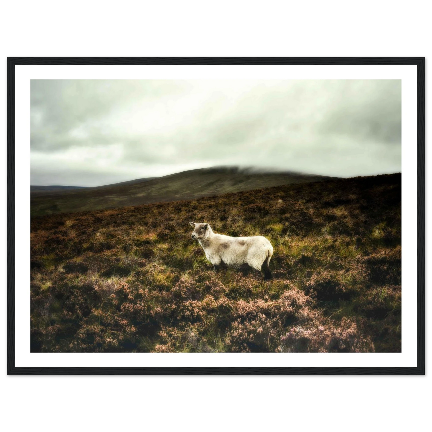 79d13920-c57e-40b2-8540-bb82c679643d