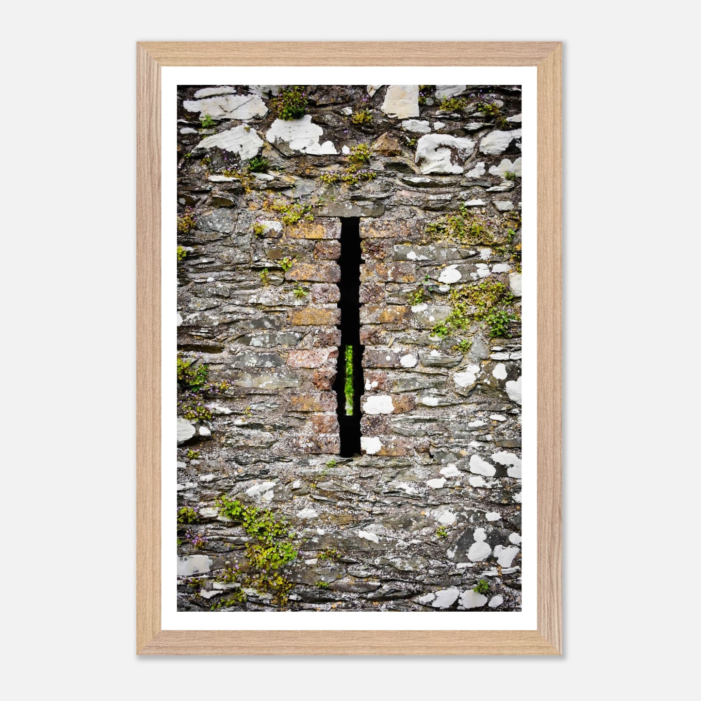 7a609f07-2635-488c-96b3-8661f94c03fb