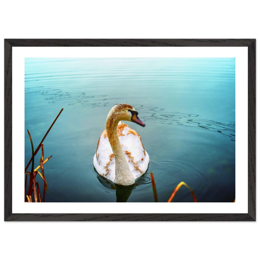 7a9e51a0-28c5-43de-a3a2-af6a4b25cd0c