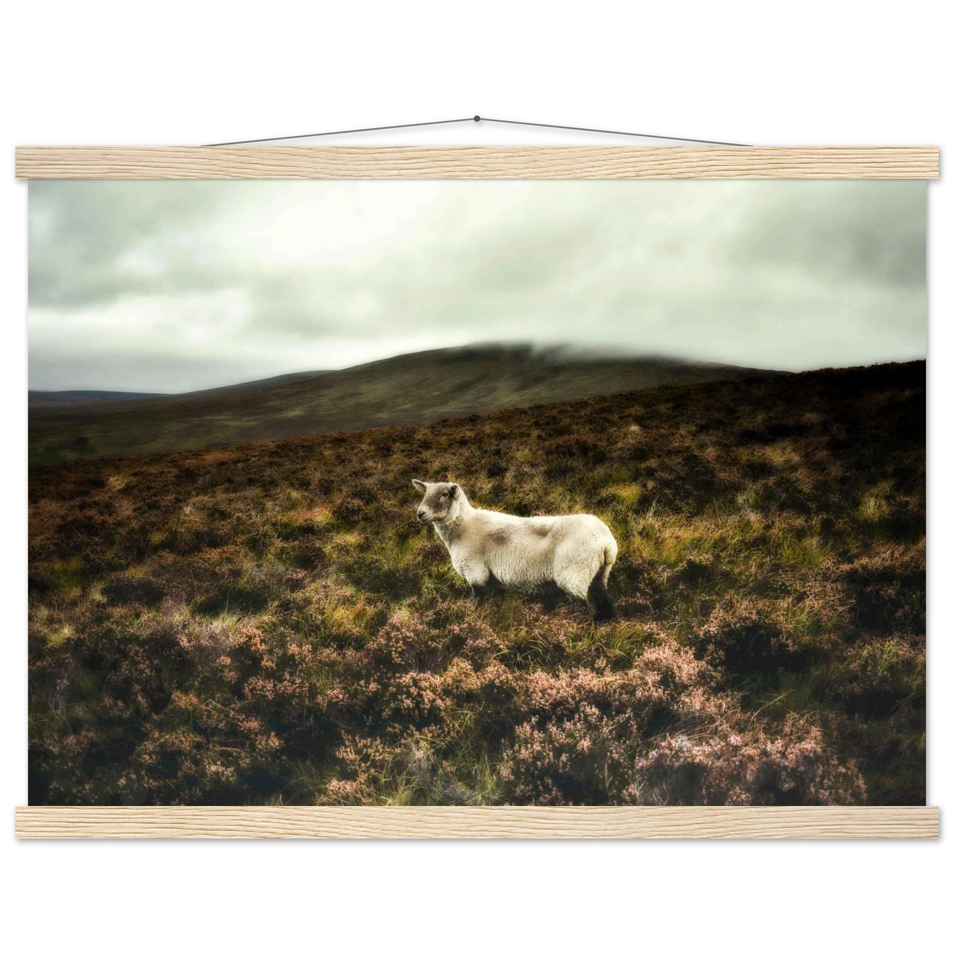 7aa8261a-b83d-4bb6-bb9d-78a94d5d79ed