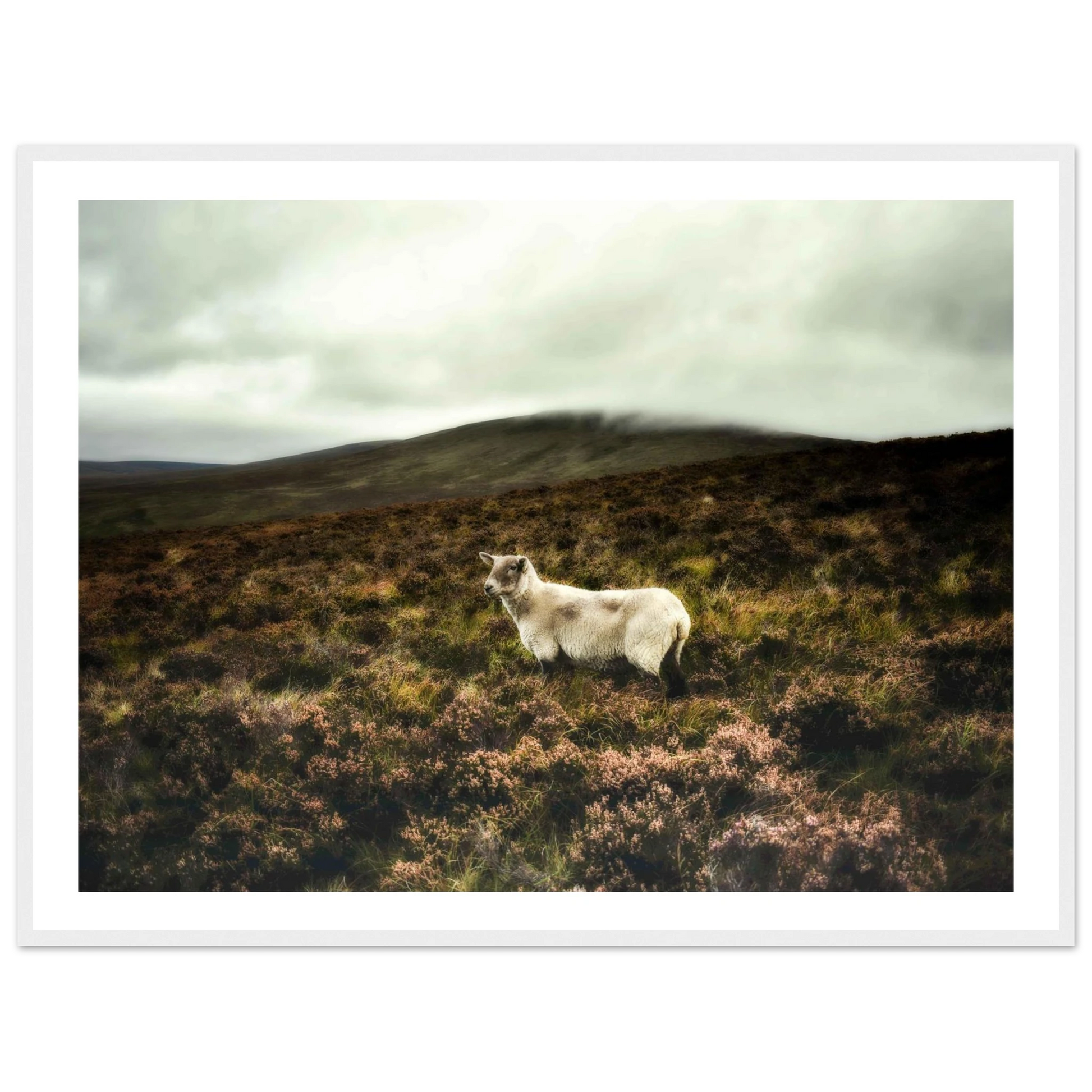 7b1ec369-c045-44f1-aa86-130cd5a73529