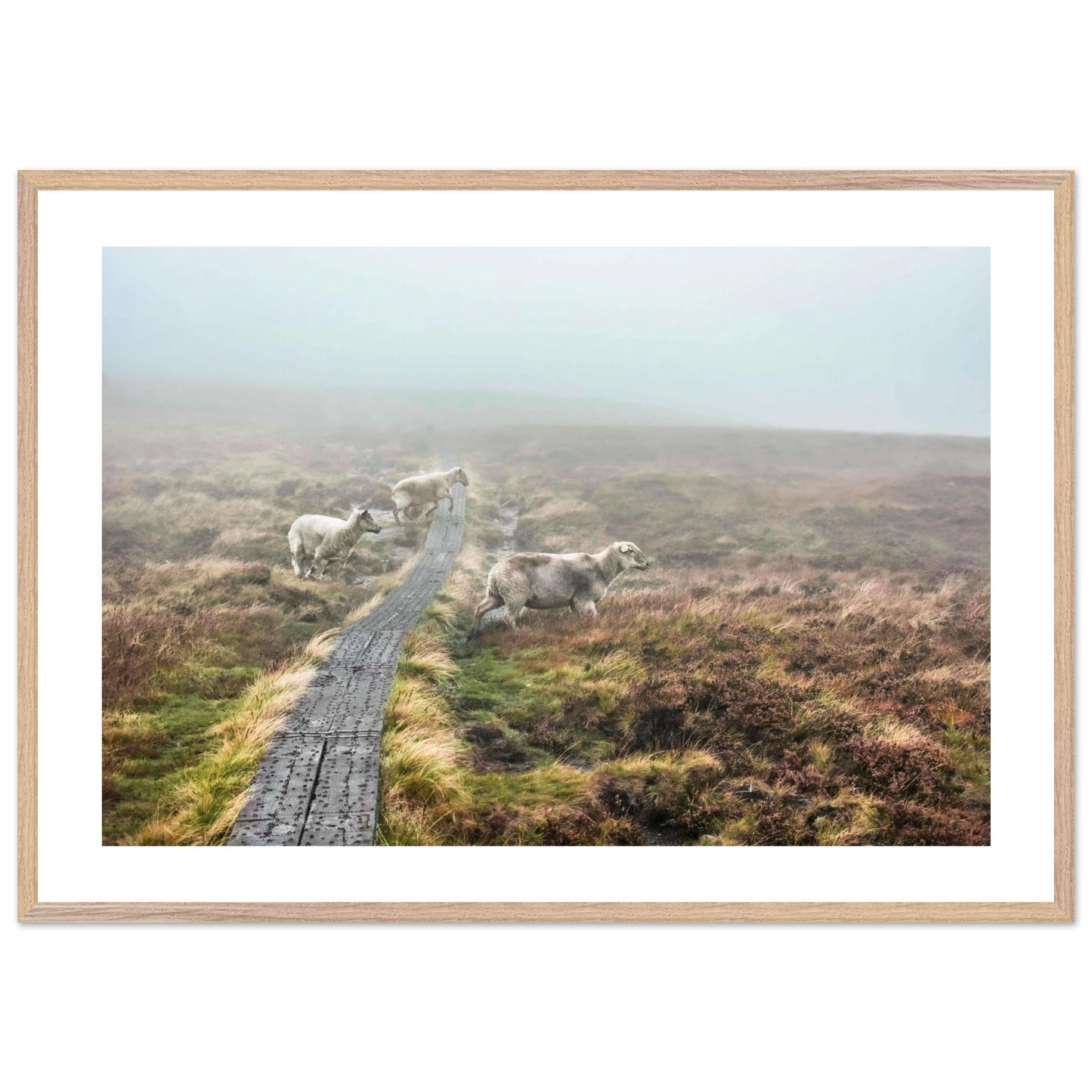 7b1ecd2e-d0a3-4d32-bf19-3c6aa6922624