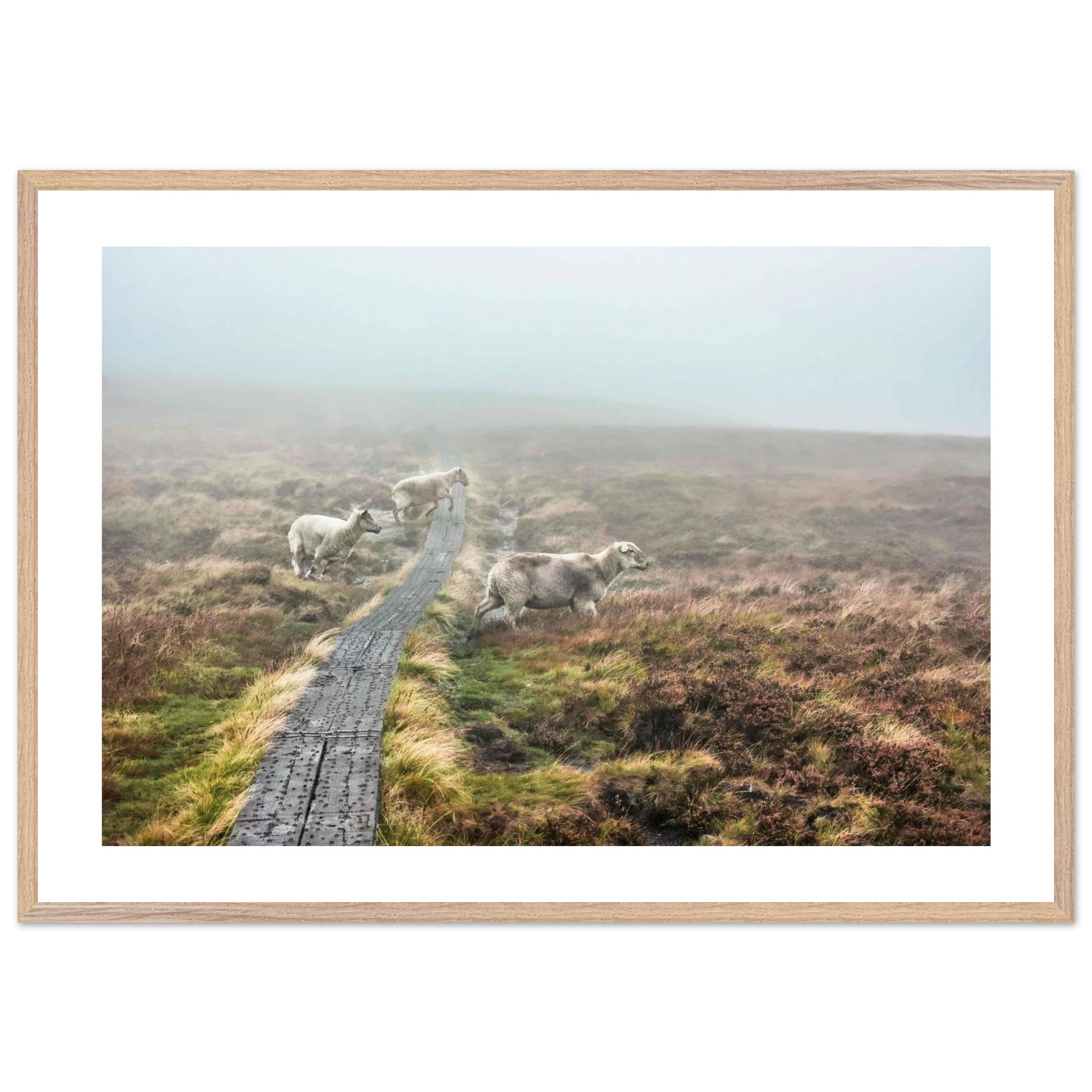 7b1ecd2e-d0a3-4d32-bf19-3c6aa6922624