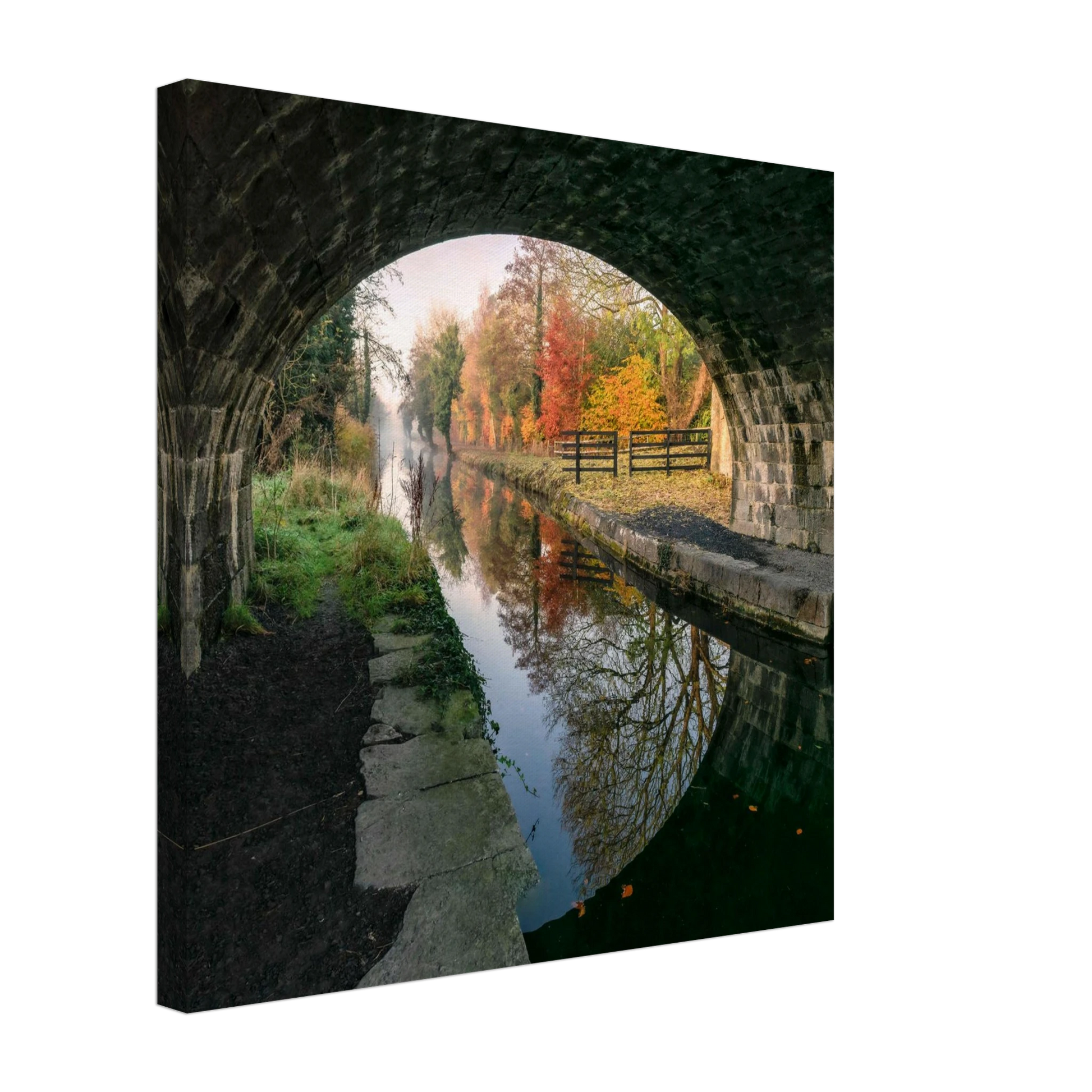 7b36812e-d4b9-49f3-a3d3-65ded31107f0