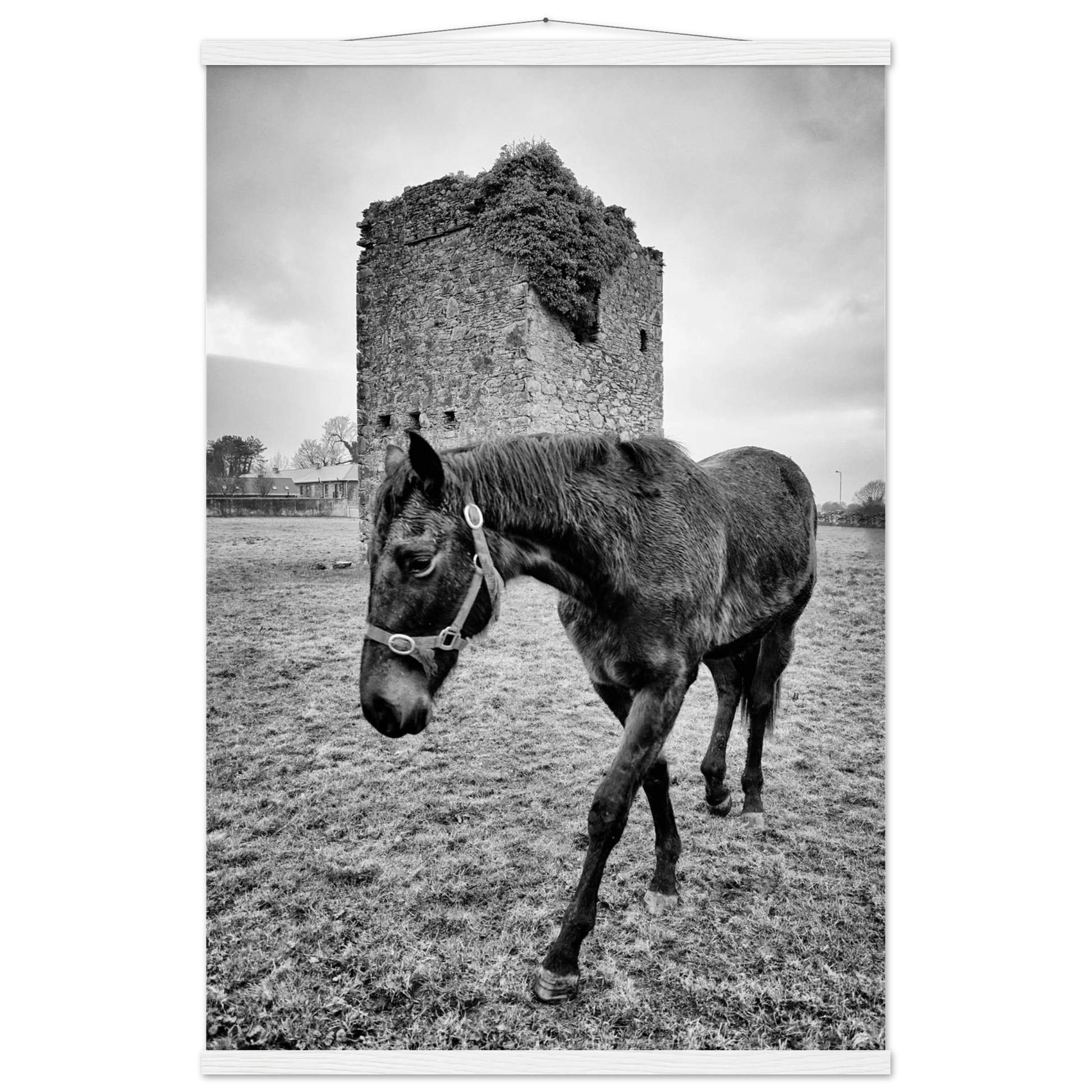 7c3c2166-3491-491e-8b1a-1f5716d4f78d