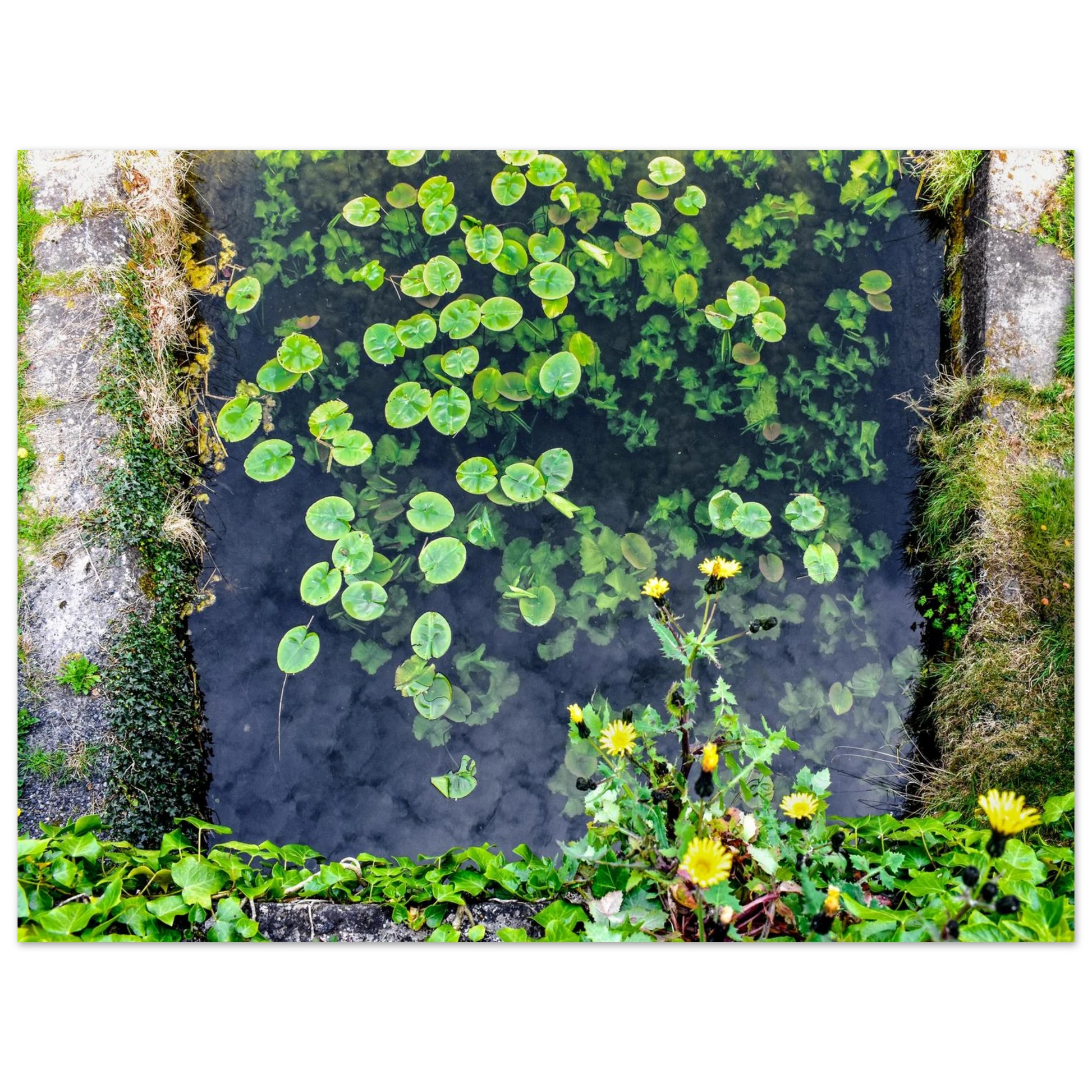 7ce91550-7da5-4a76-95f6-f6ed2411b2fd