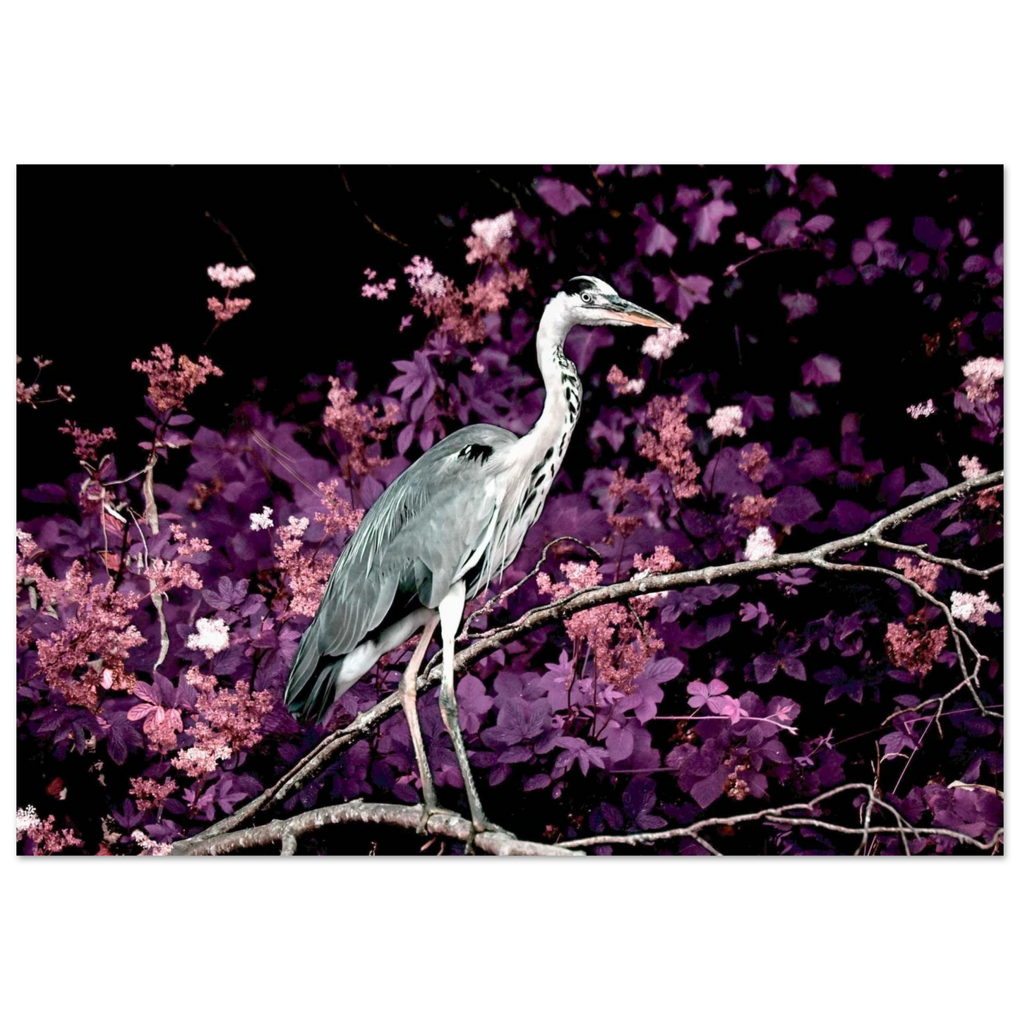 7d109d73-faa6-485e-b871-1076984658ec