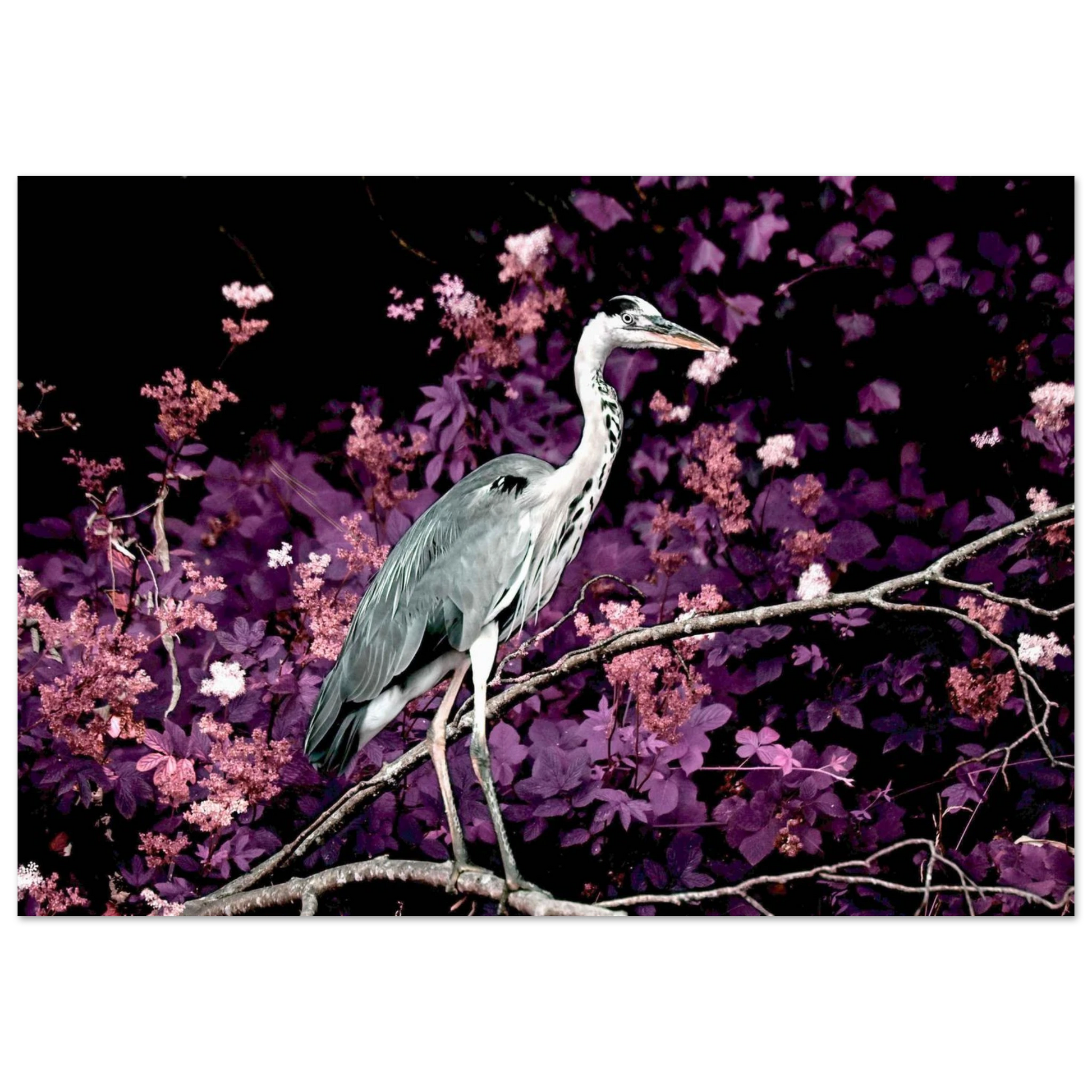 7d109d73-faa6-485e-b871-1076984658ec