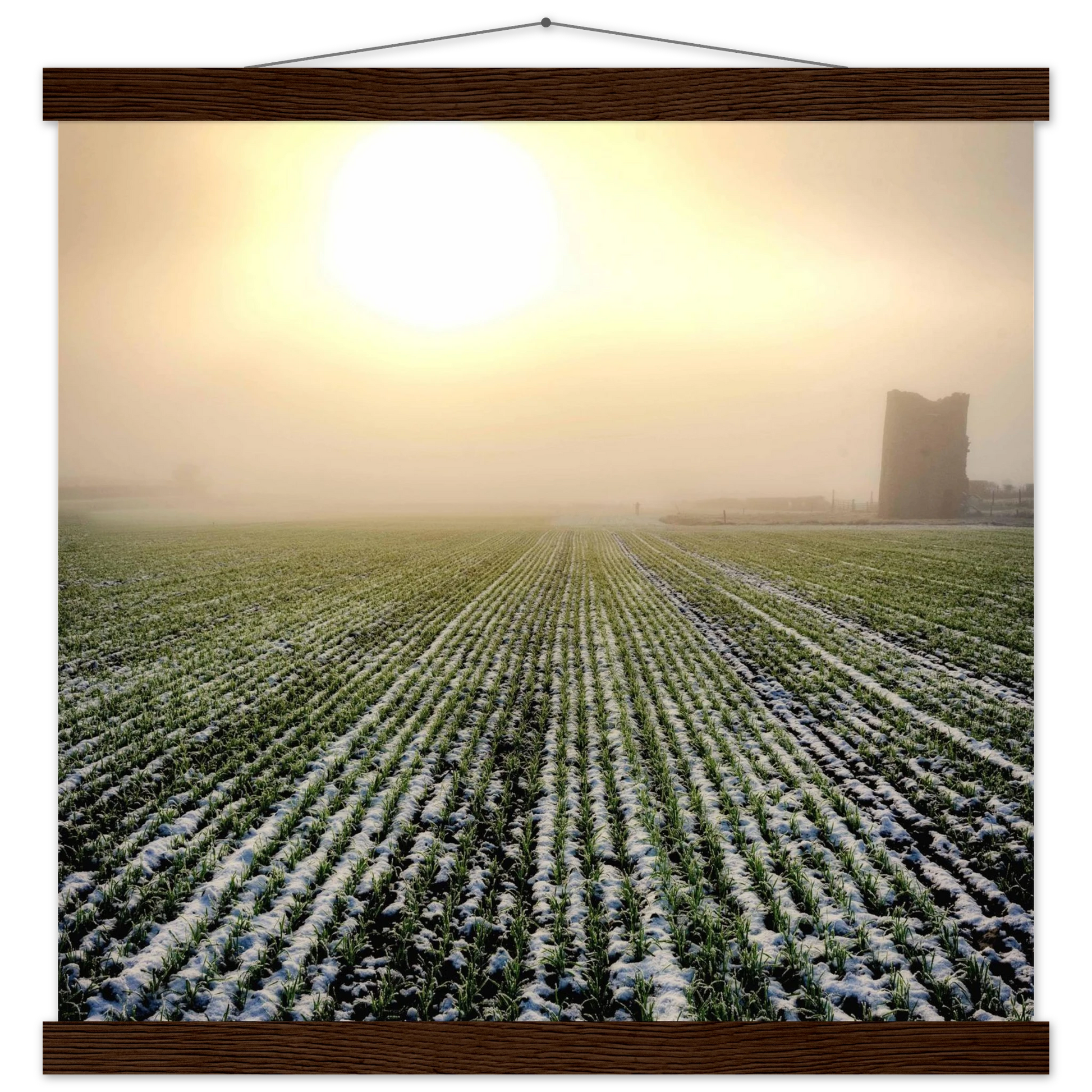 7d782b84-f615-4e31-9403-f5993cee31db