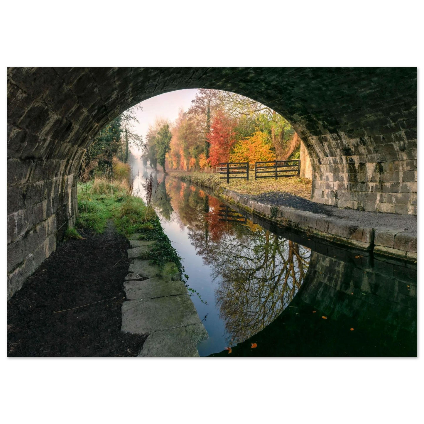 7e16e559-5730-4443-ba56-29c6be0fd0a1