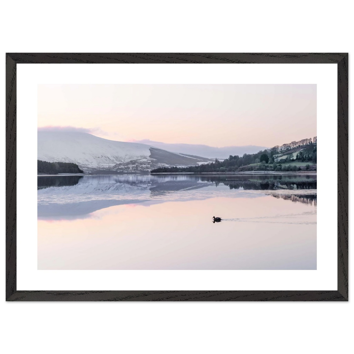 7e37ec09-9785-4313-8243-7e8d8789e4a3