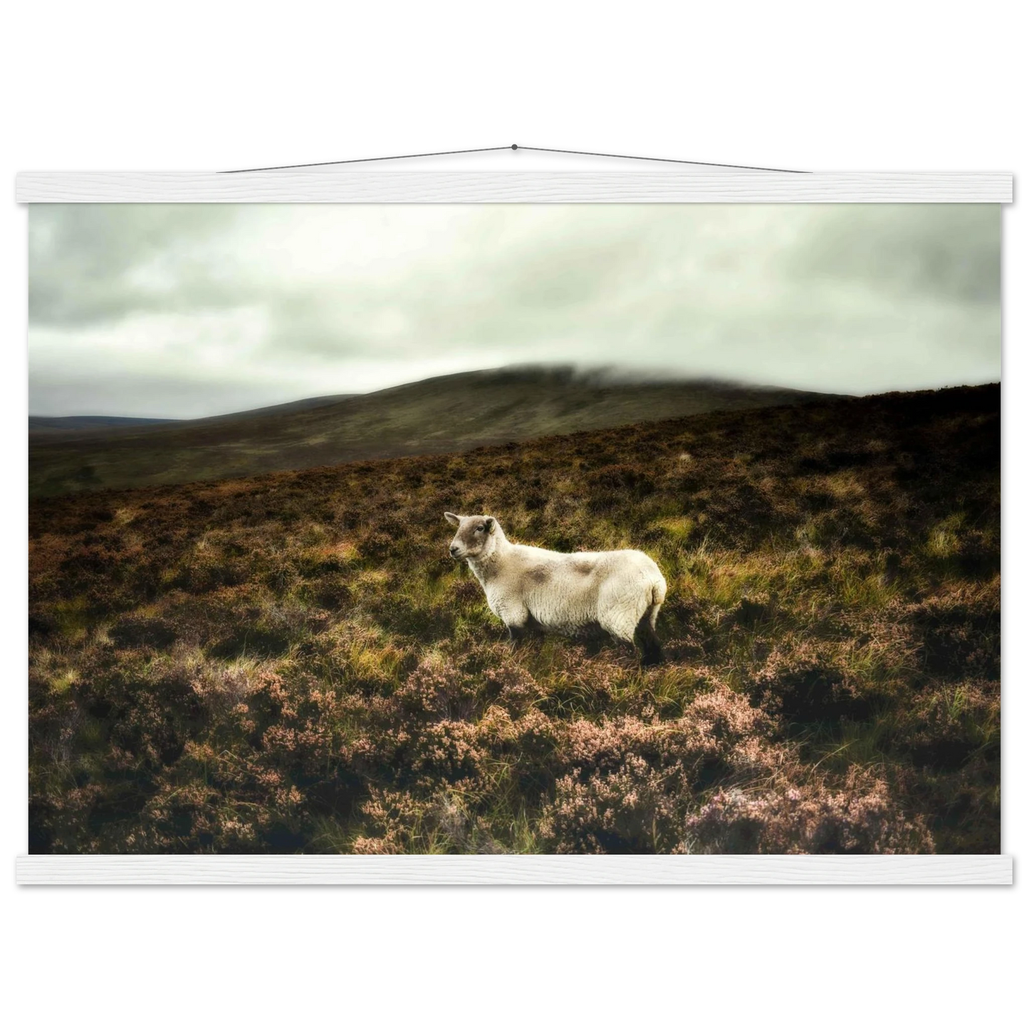 7e3d370f-4b66-4cf7-aa10-350eb2401950