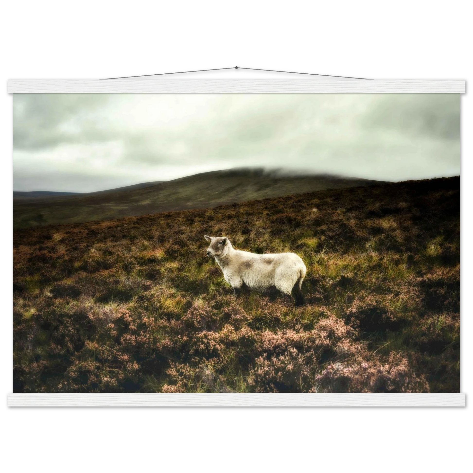 7e3d370f-4b66-4cf7-aa10-350eb2401950