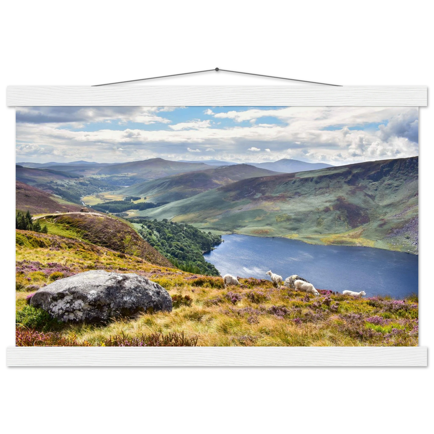 7ebbc6fb-9ba0-4ca9-8737-5ac6fbe51b21