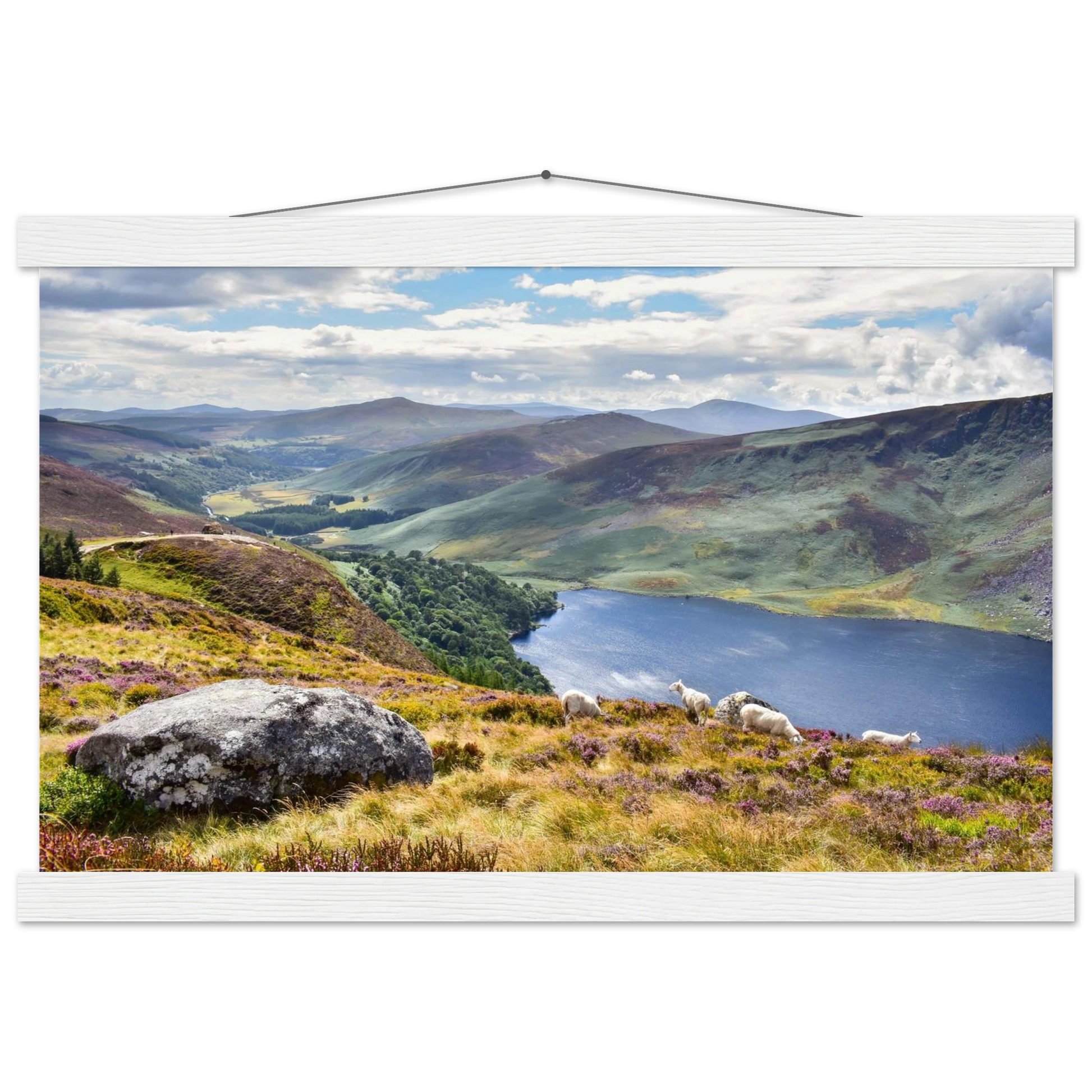 7ebbc6fb-9ba0-4ca9-8737-5ac6fbe51b21