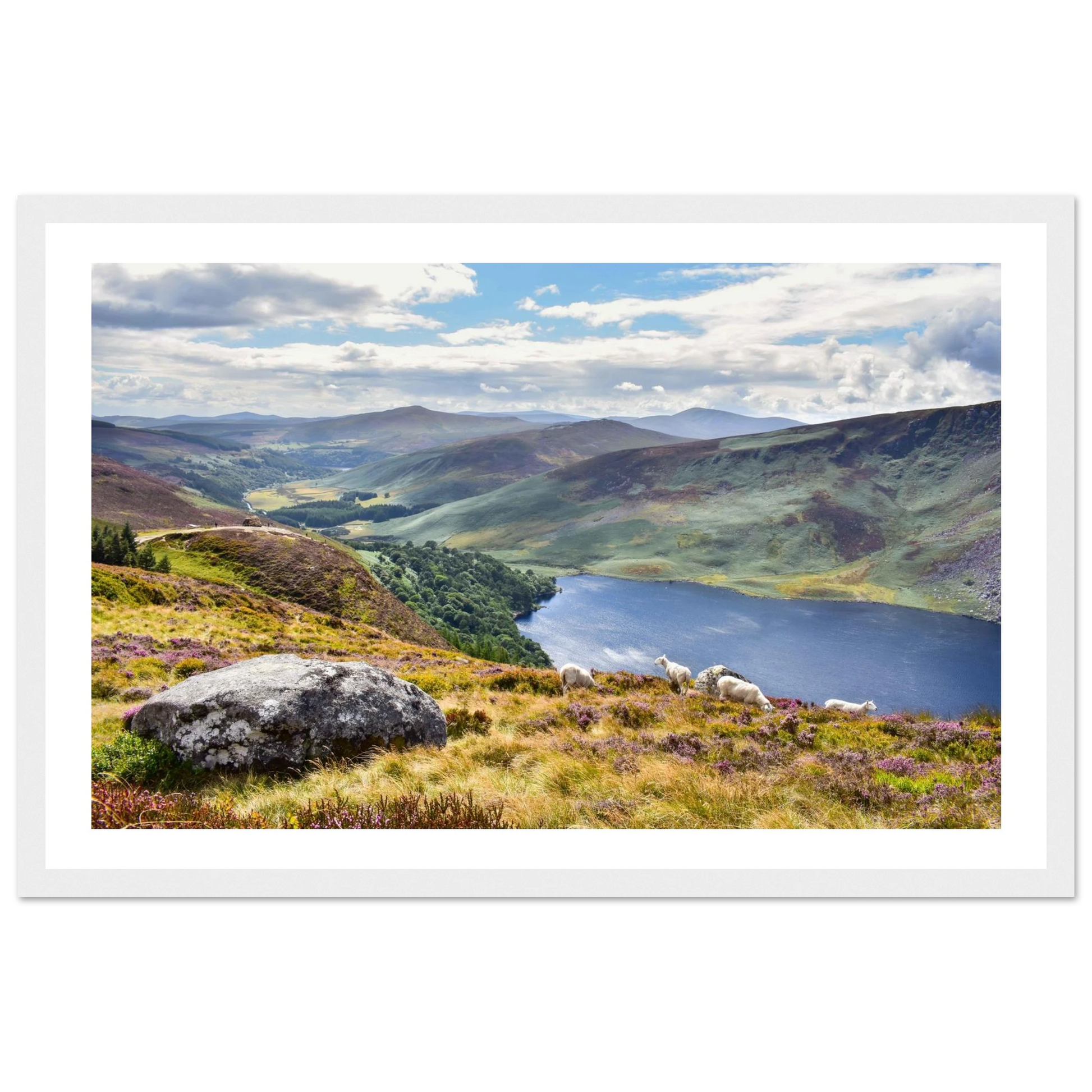 7ed00741-cc2e-4078-9774-cf0ce0351a8c