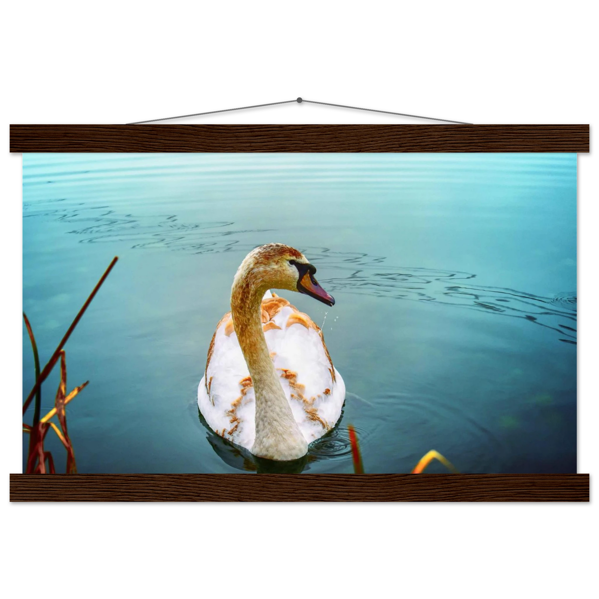 7f33226d-8b06-486d-a0e6-4d27fc86da12