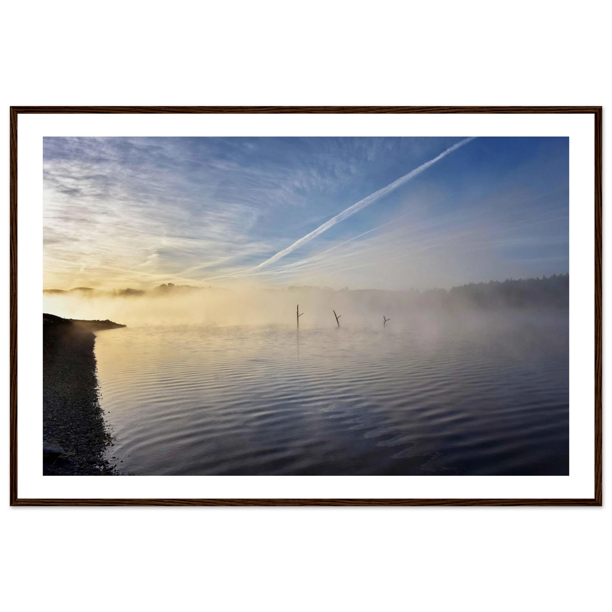 7f59d2ef-226c-4ddd-a708-193d57a6f43f