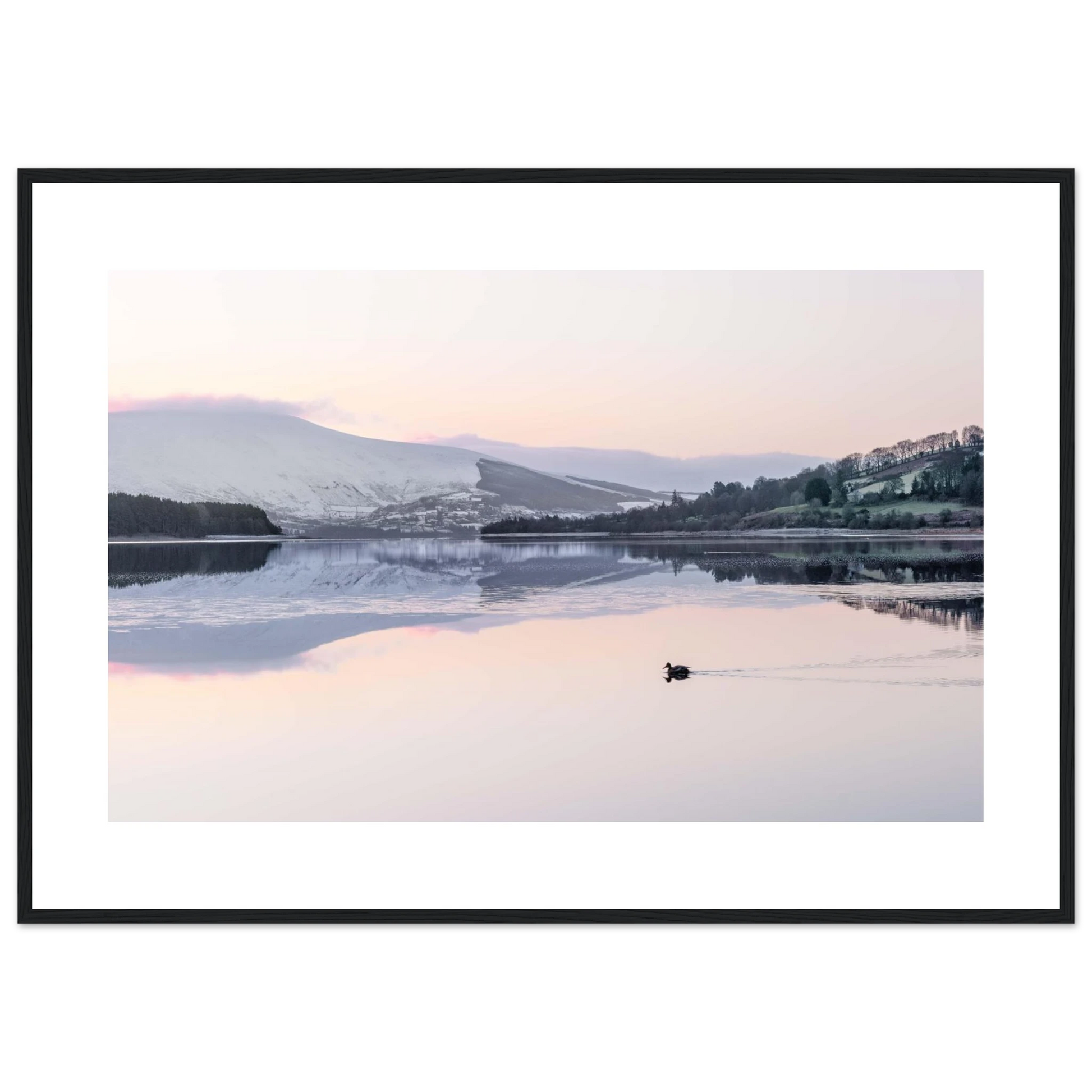 7f894cae-882a-4ed1-a8db-72f143fdfaaa