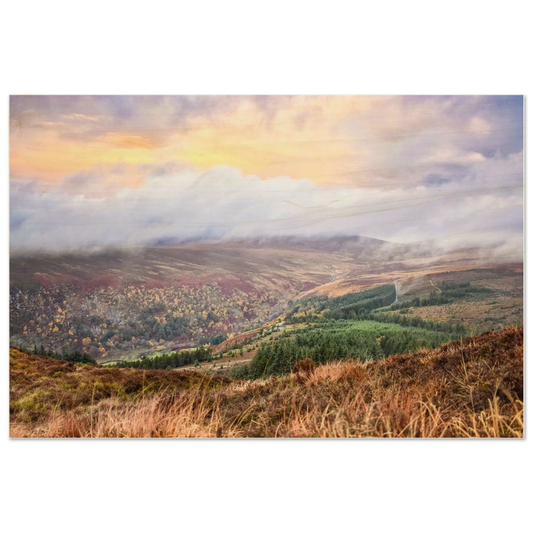 7fa8fc2b-eed7-4a9c-9f88-4544881dfd0c