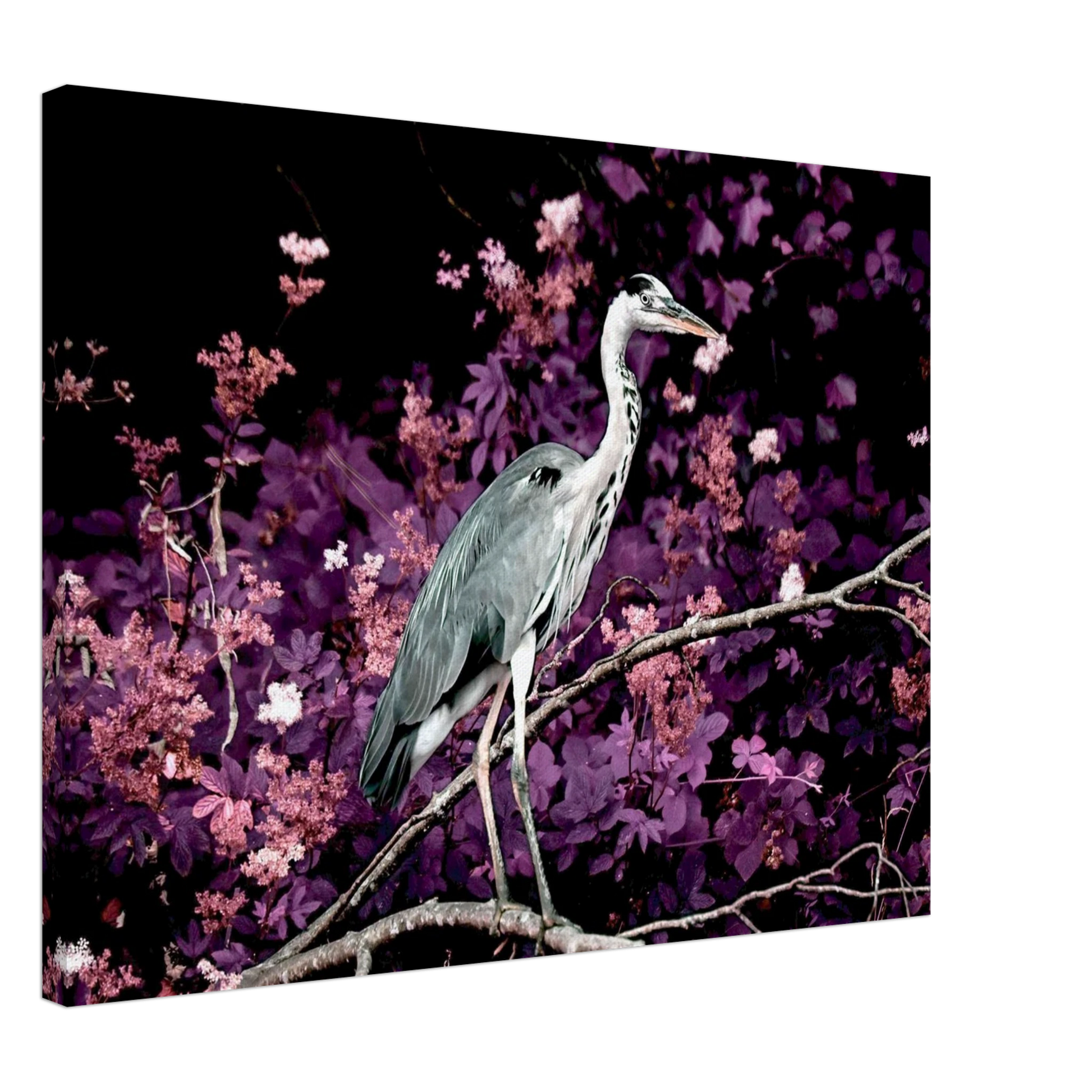 80050e60-ab88-494c-aa18-5366a2ce5b1f