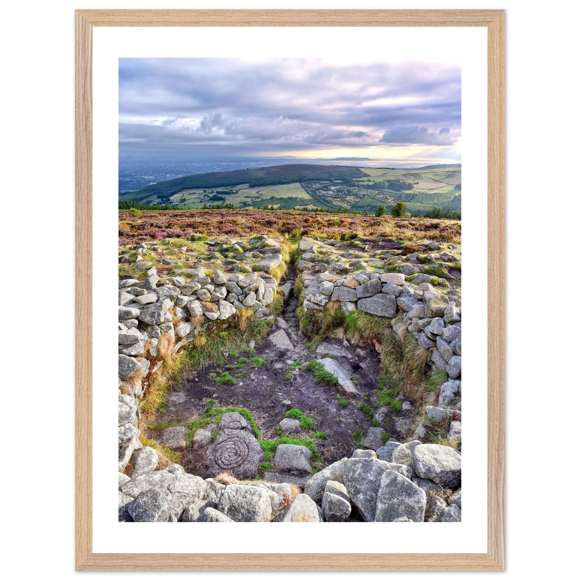 802ad406-5274-4f96-a0ee-85494bab71f7