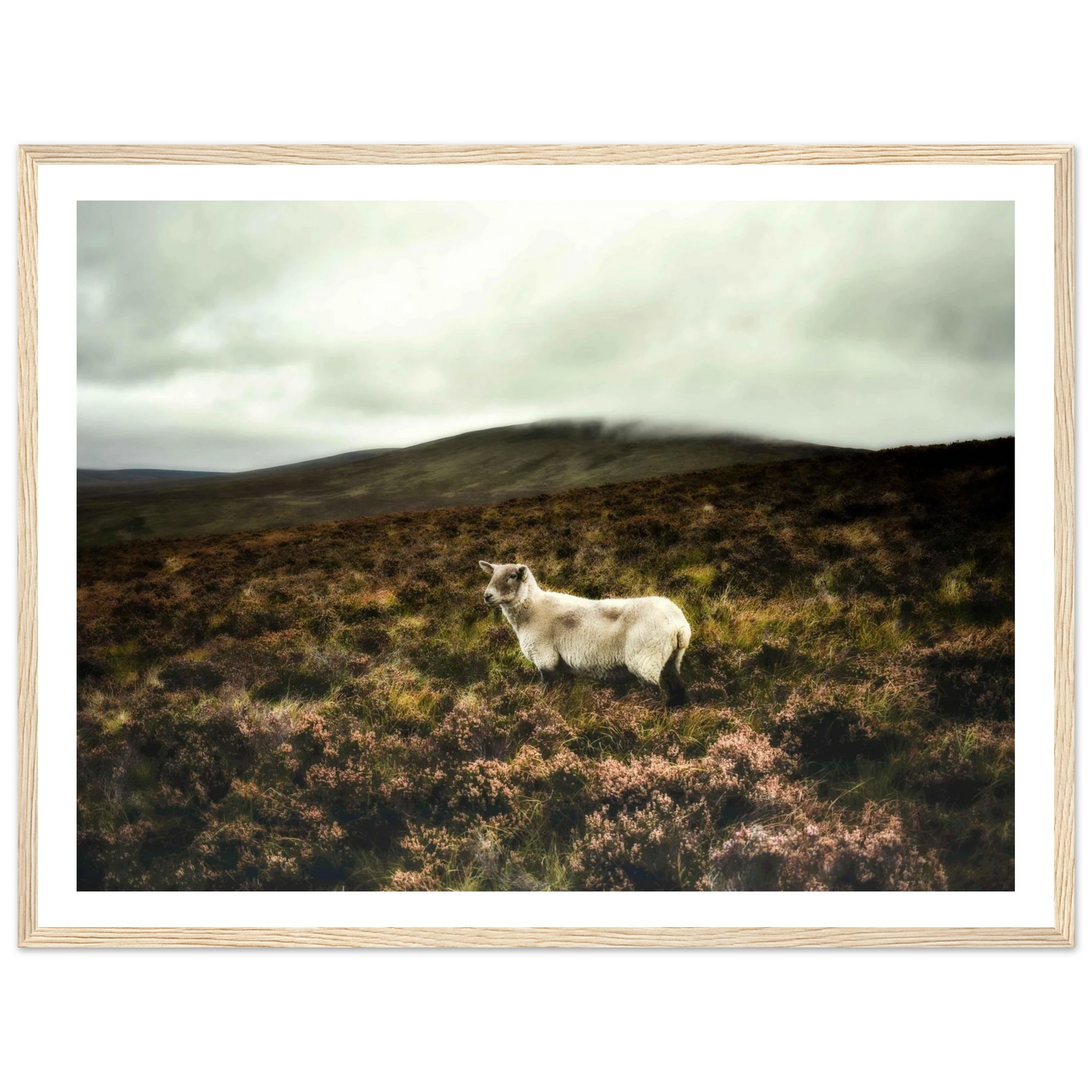 80629e99-0e85-4c29-a41b-3a797f120272