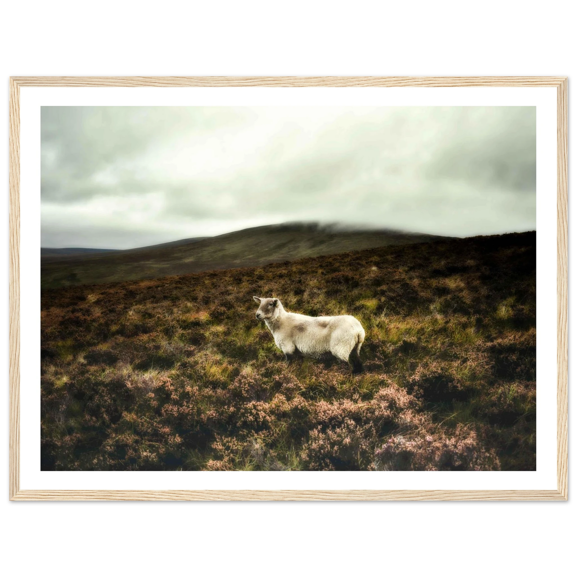 80629e99-0e85-4c29-a41b-3a797f120272