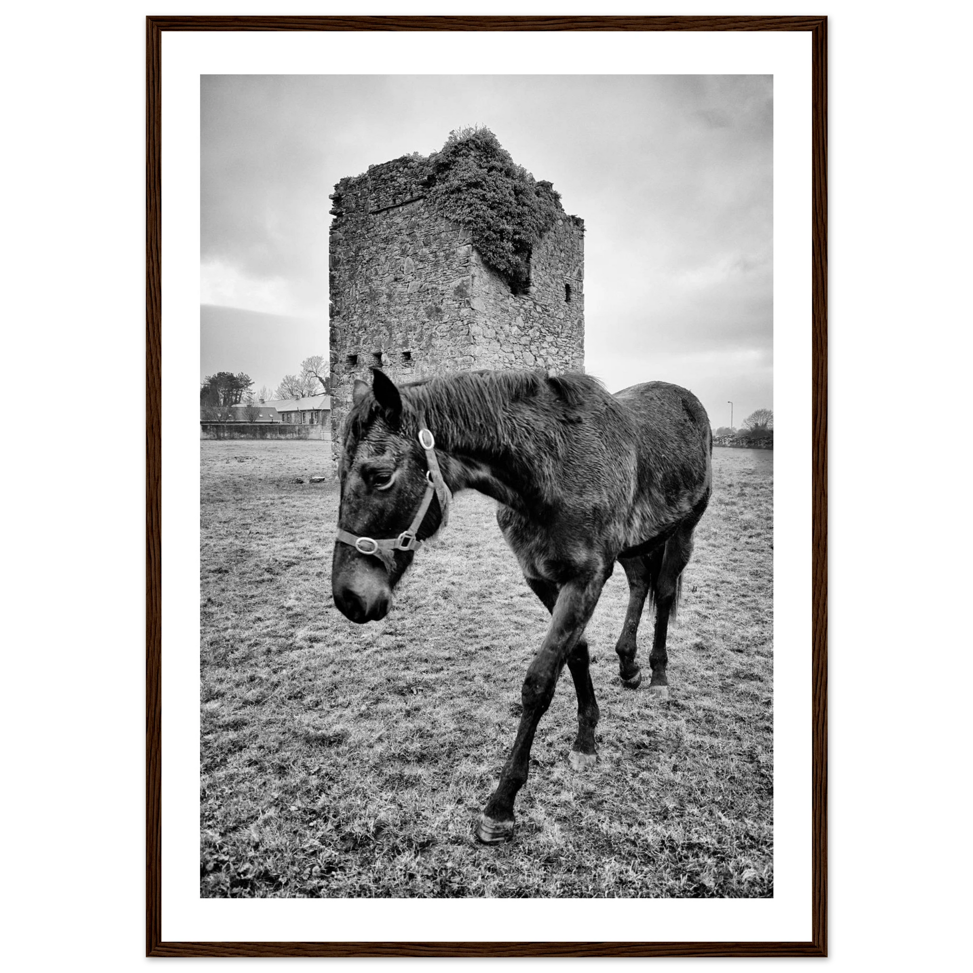 8066b14b-1f44-4e71-b554-0db9c3271e55