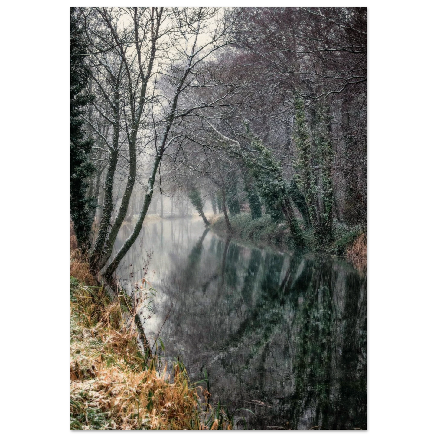 80b2f0e2-1838-4ffe-b03c-eced0435d101