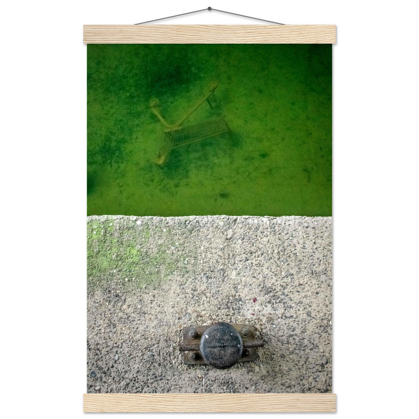 81352f84-4ed0-43c4-9c82-3c2b52a89d8d