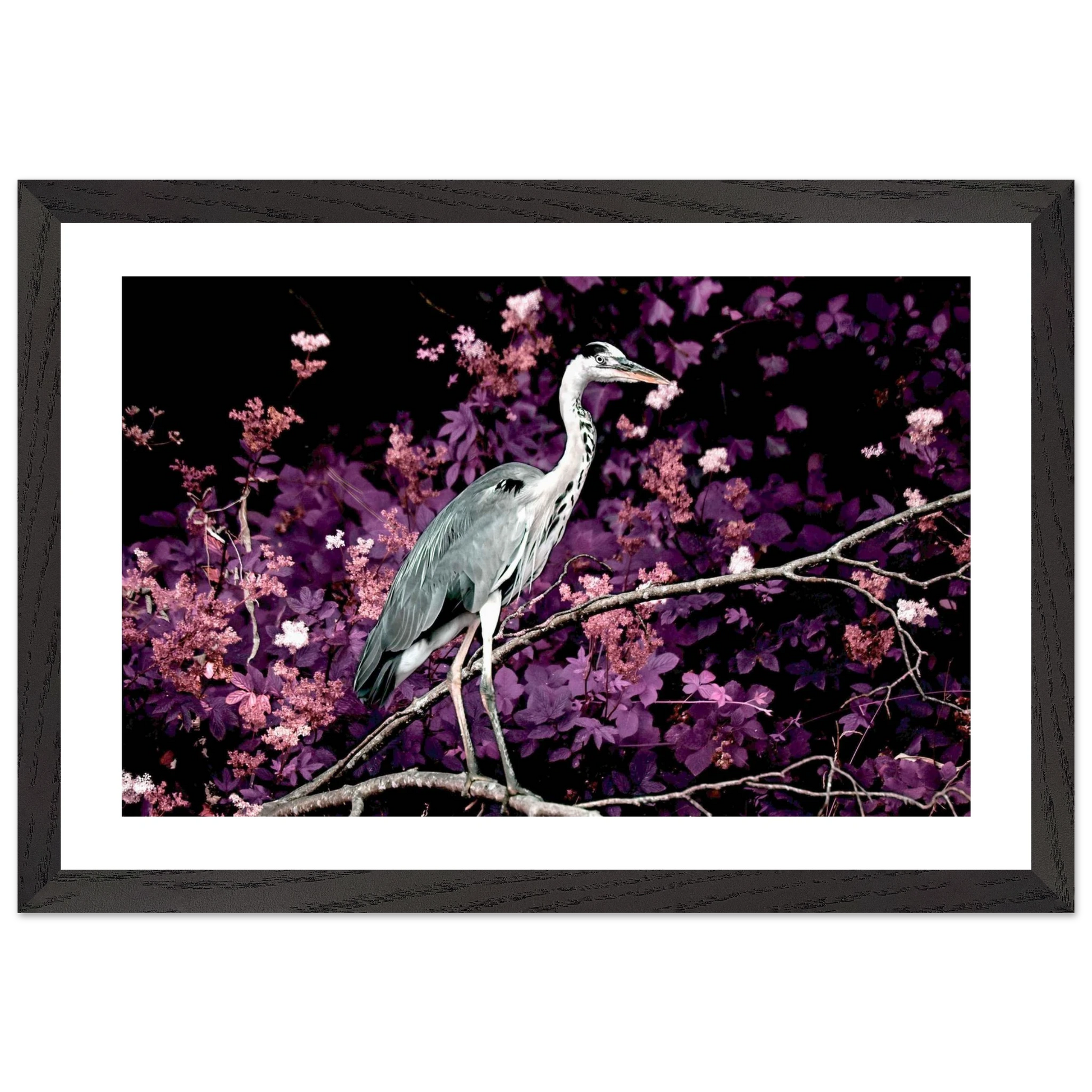 8187a56f-5182-4464-bb69-524468b0604a